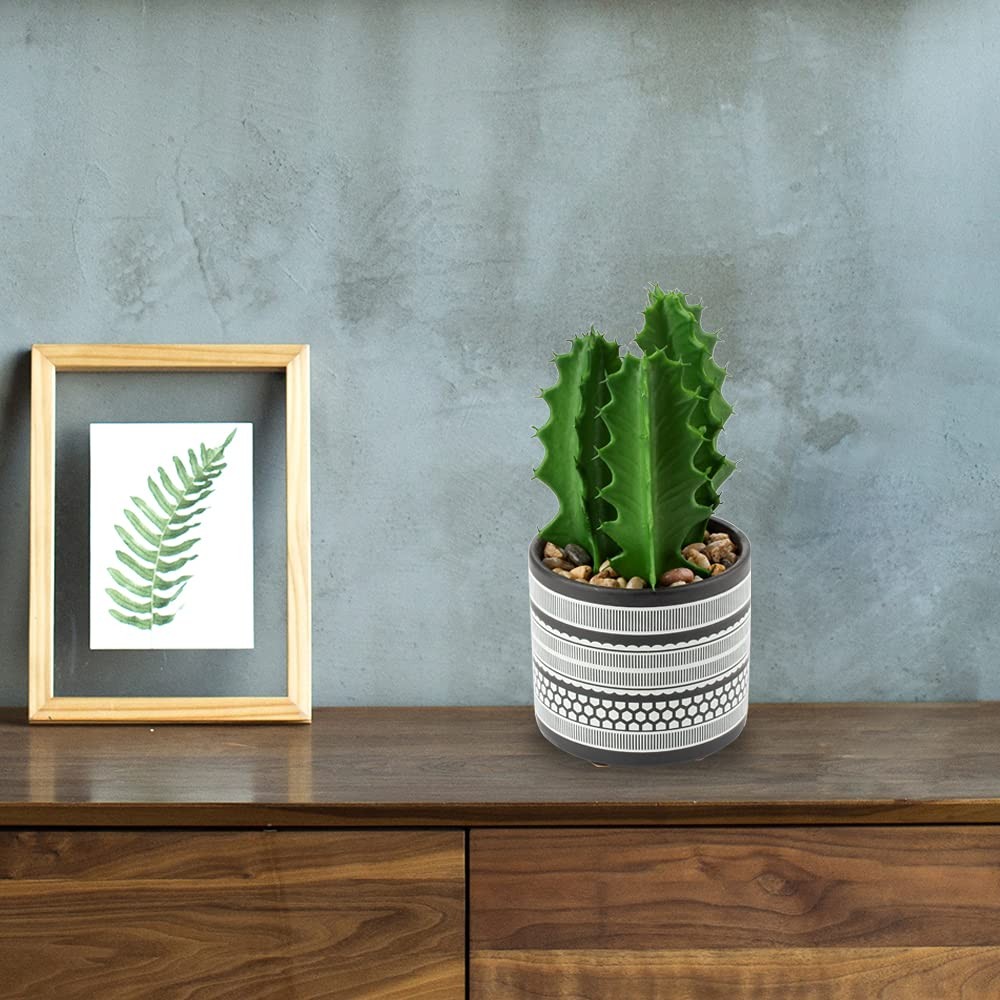 Artificial Cactus Plant Realistic Mini Faux Succulents in Pots Black Ceramic …