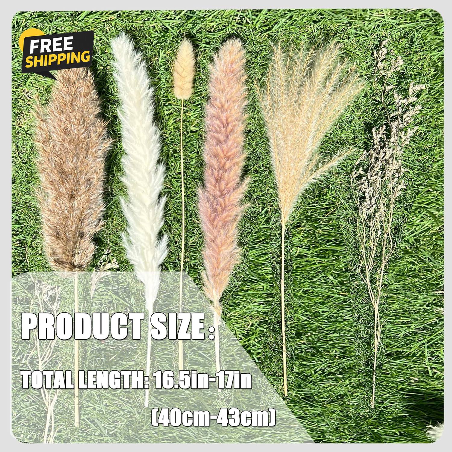 100Pcs Pampas Grass Boho Home Decor 17 Inch Natural Dried Flowers-Pampas Grass