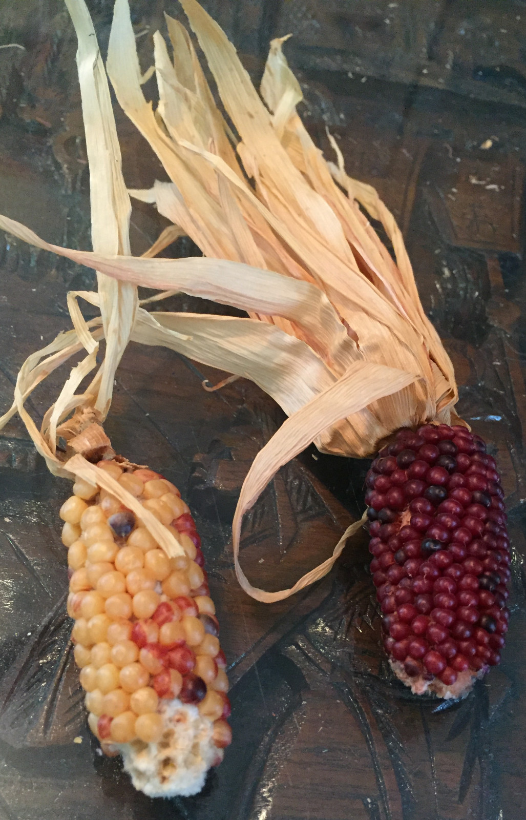 native american Indian Corn various lengths Thanksgiving Fall Decor
