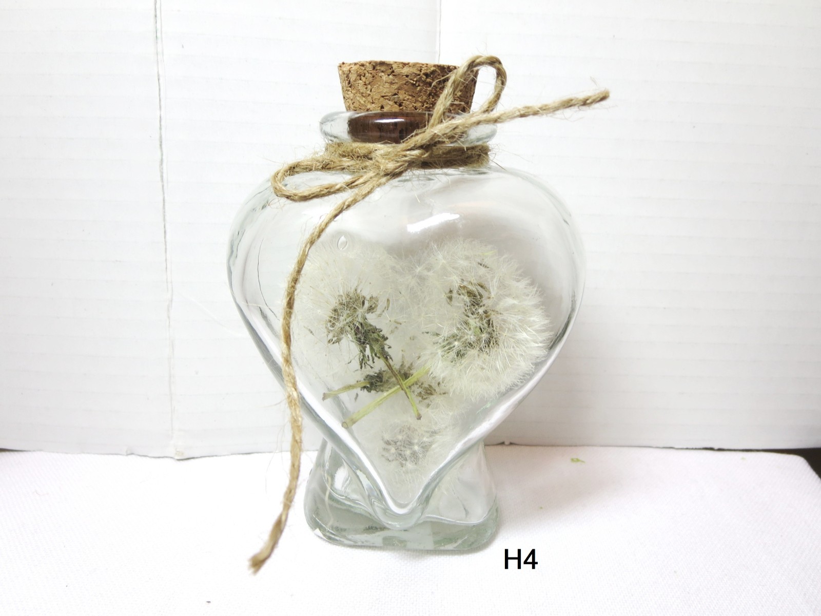 Dried Dandelion Art Dandelion Flower For Craft Dried Flowers decor Dandelions