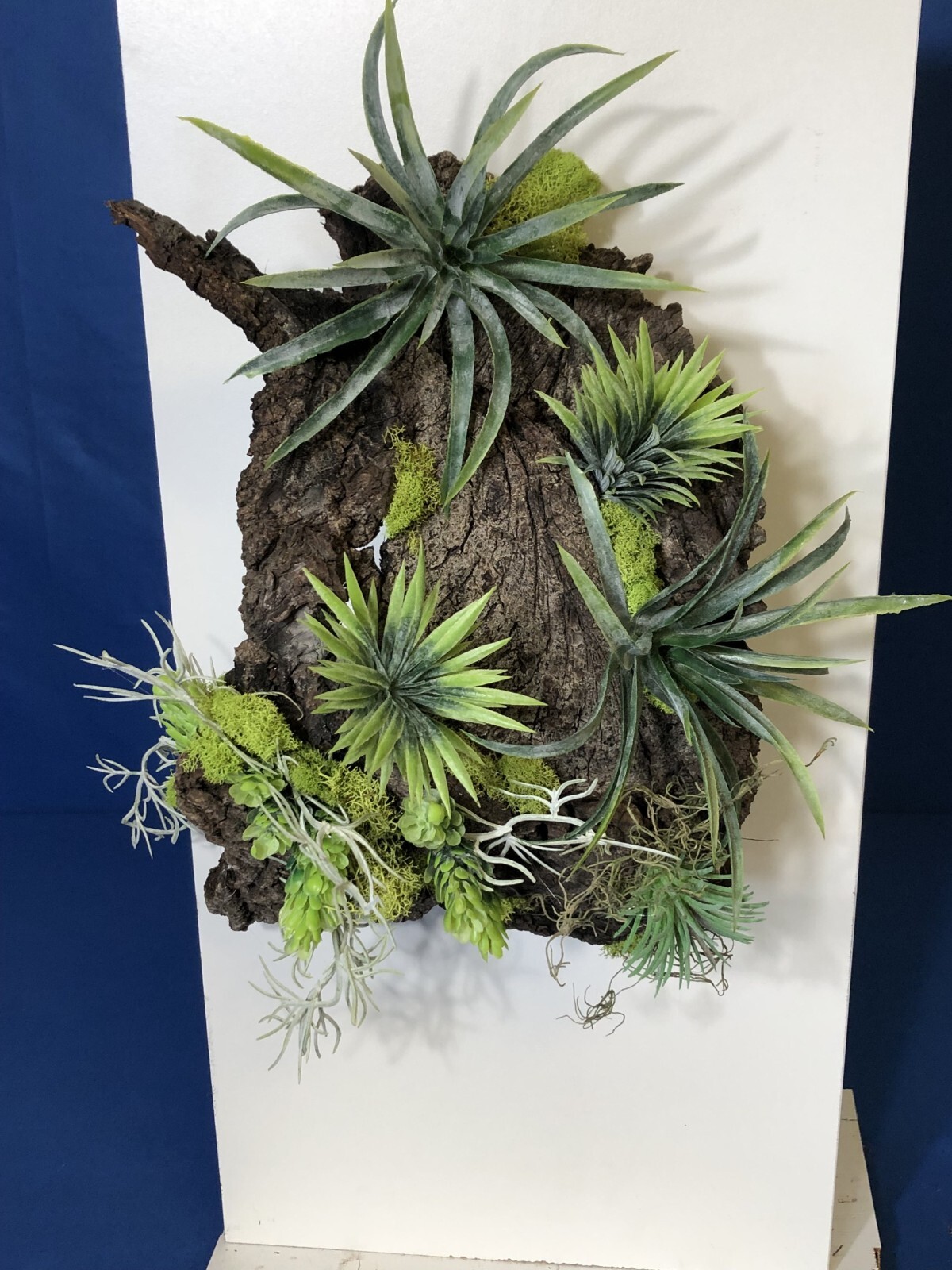 Artificial Succulent Air Plant Wall Art Home Office Mounted on Real Wood Bark