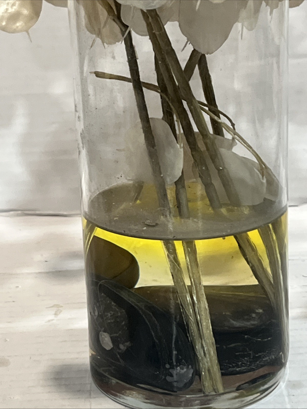 Lunaria Plant Artificial Stems Plant Money Tree In Acrylic Vase Home Decor