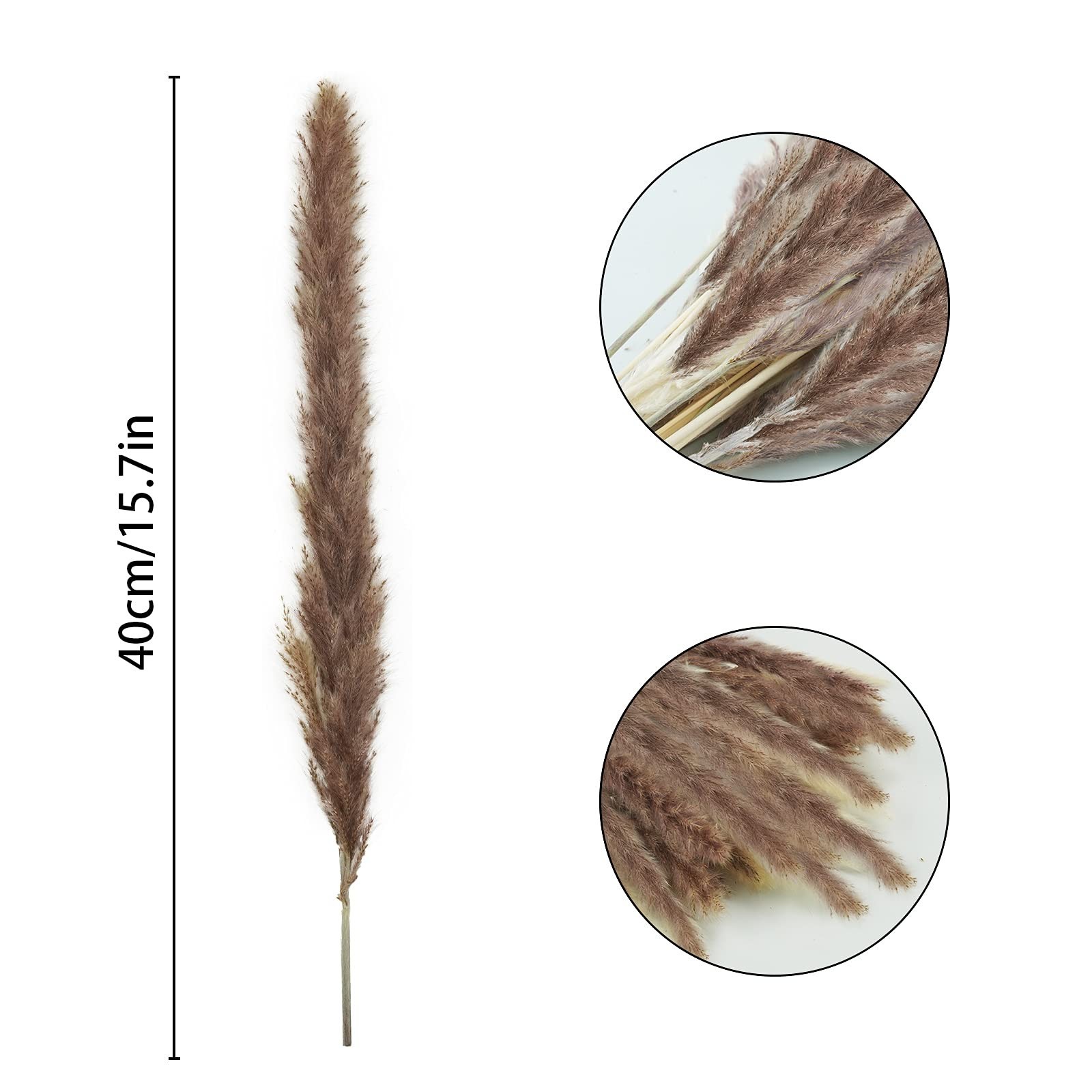 120pcs Dried Brown Pampas Grass – 17″ Natural Reed Plumes for Boho Decor & Weddi
