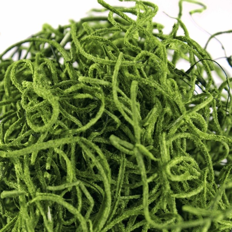 True Green Preserved Spanish Moss Garden Crafting Floral Supplies Pet Friendly