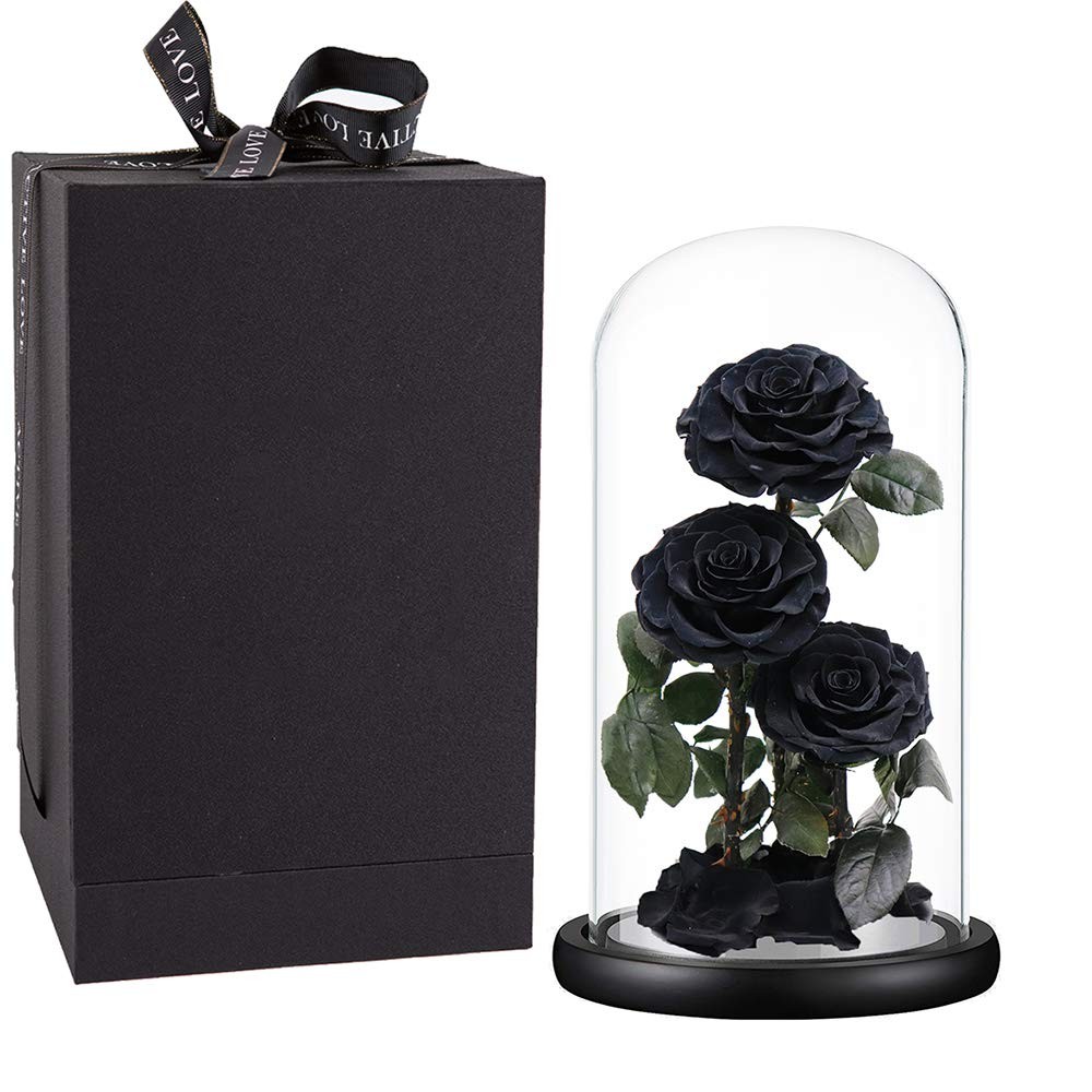 Black Preserved Roses in Glass Dome – Eternal Flowers Gift for Her, 13 Inch