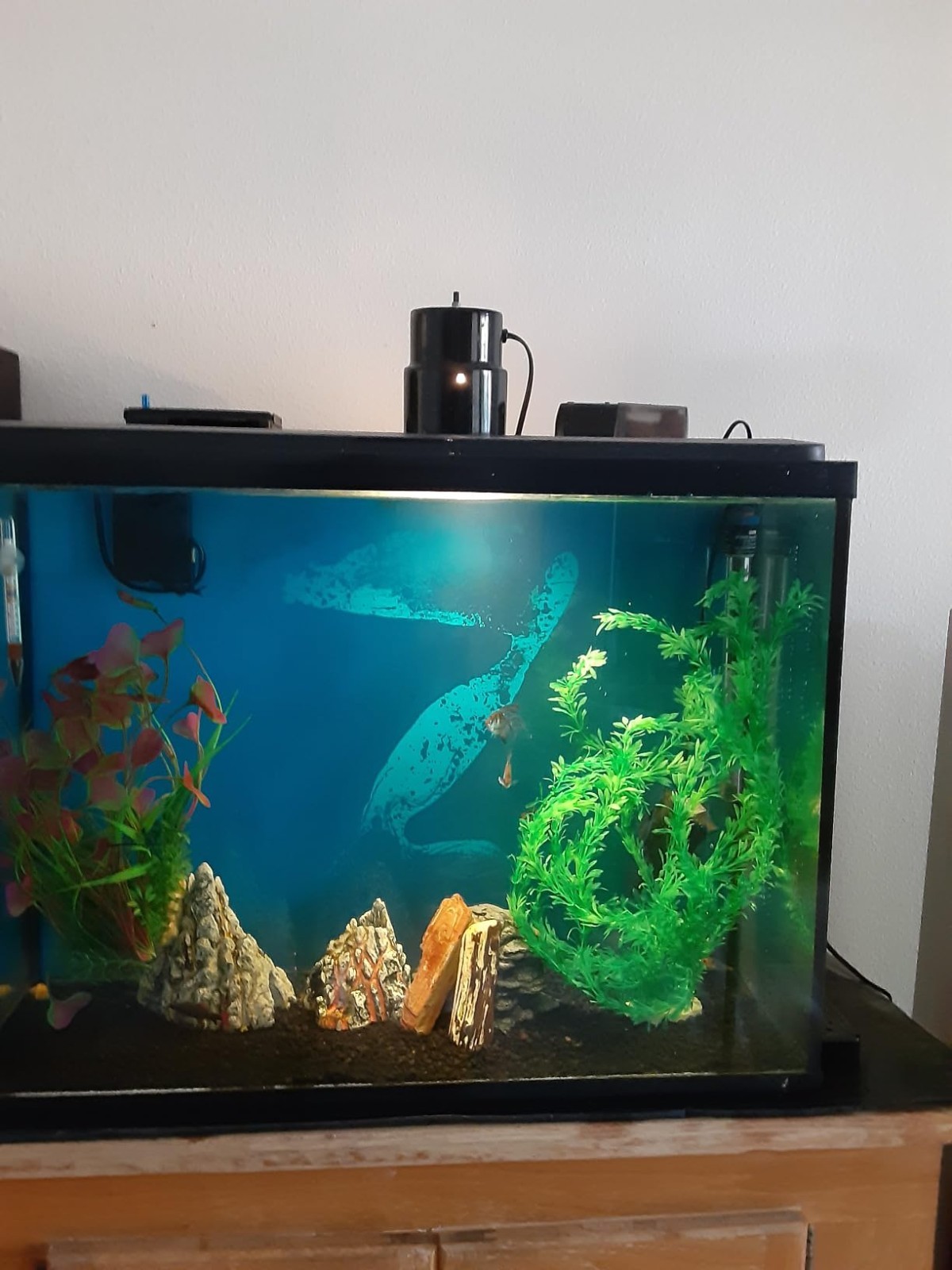 Large Green Realistic Artificial Aquarium Plants Fish Tank Plastic Plants 23 In