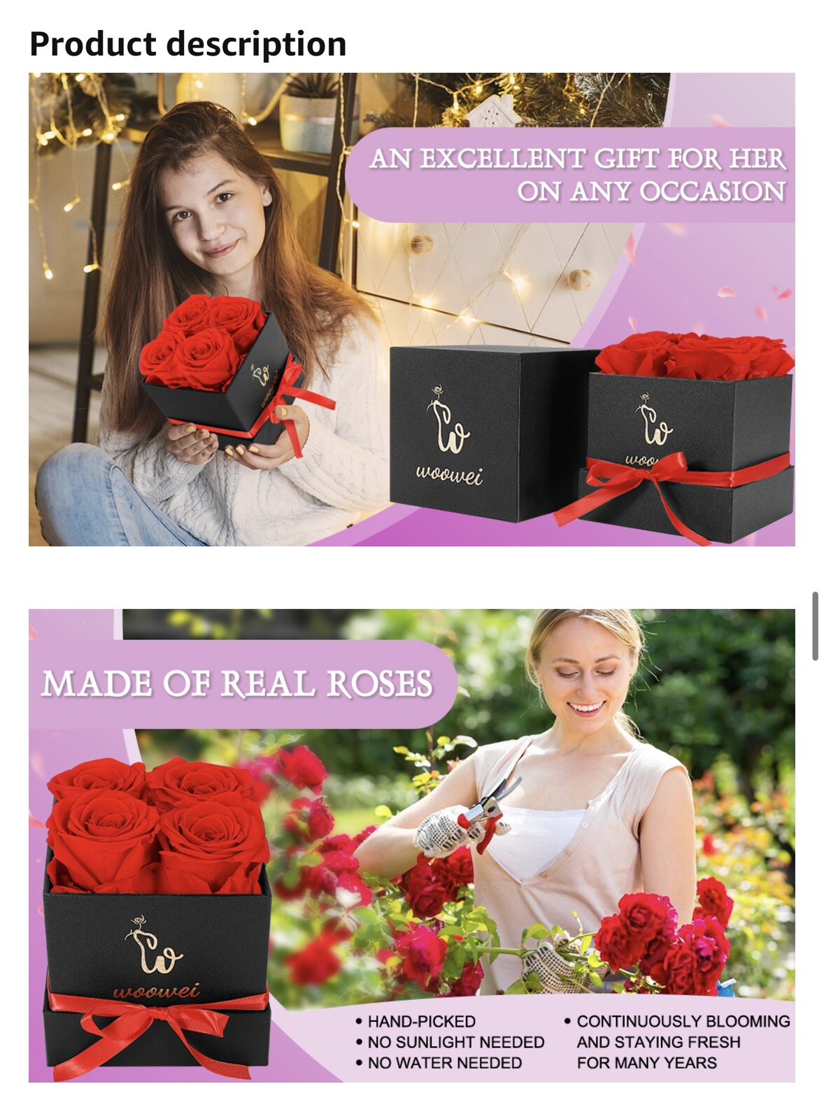 Forever Preserved Roses in a Box – Romantic Gifts for Her – Long Lasting Flowers