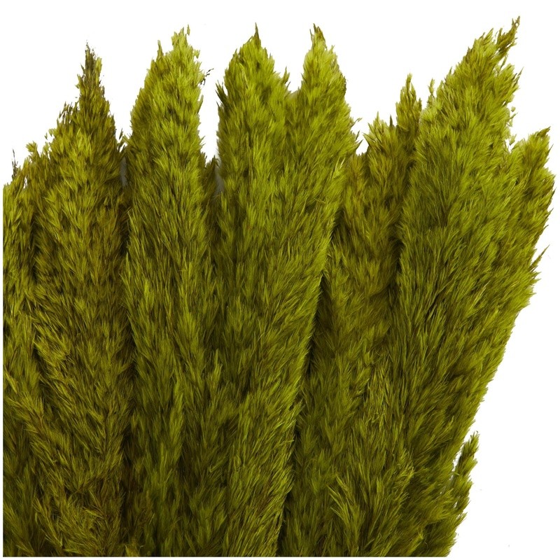 35″ Dried Pampas Grass Natural Foliage Bouquet Long Stems Indoor Decor Plant New