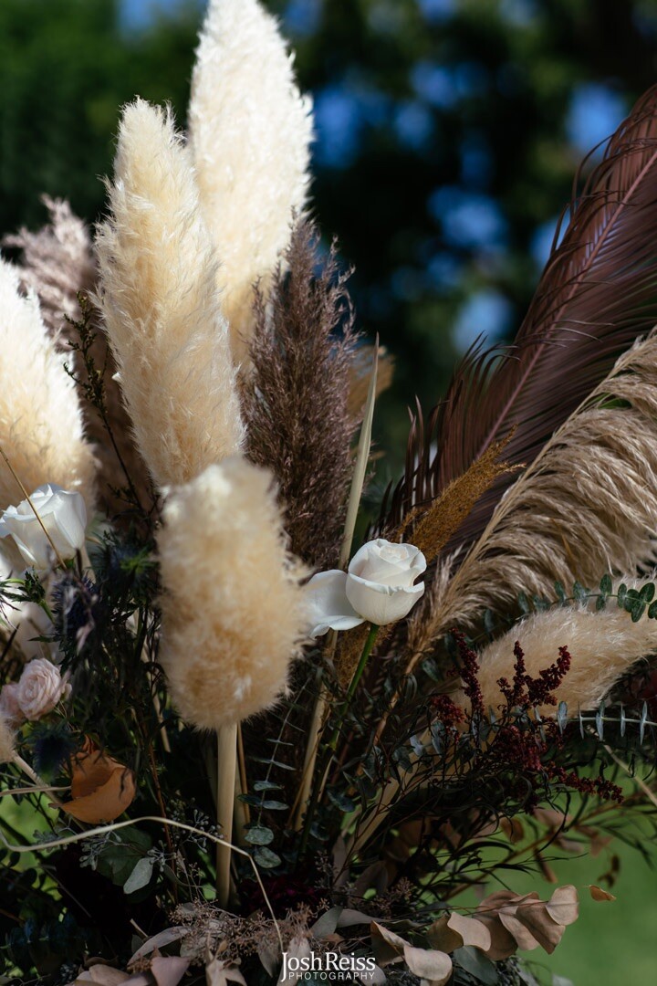 Dried flowers- Box of 10 (36”) natural white beige pampas grass