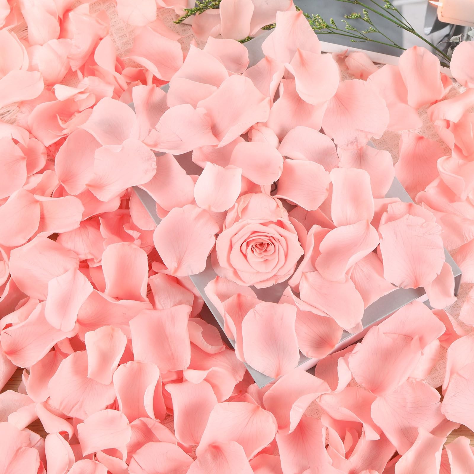 Dried Real Rose Petals 1.4 oz Pink Preserved Flower Confetti Wedding Decor
