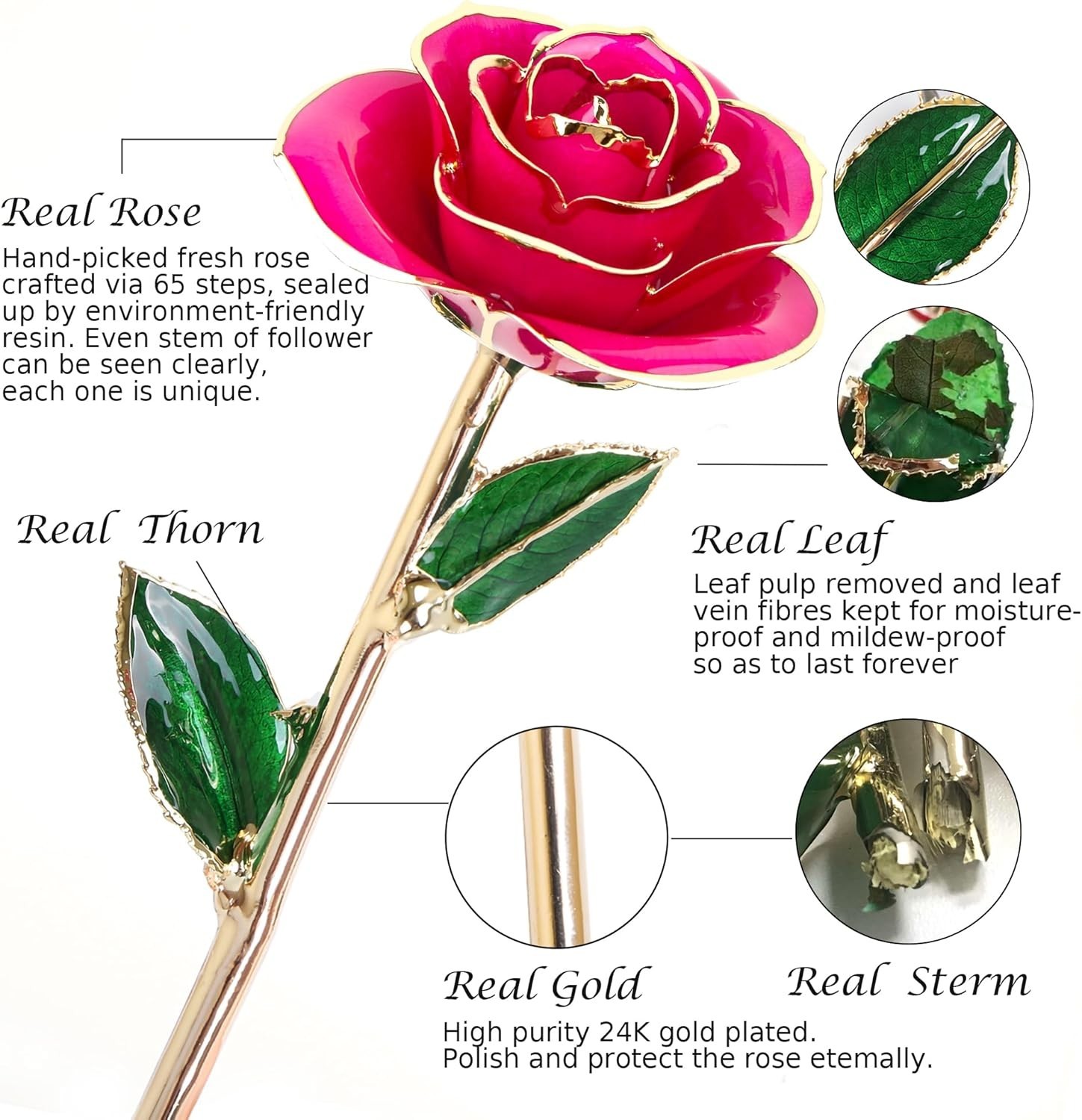 Gold Dipped Rose Eternal Flower Decor Gift for Birthdays Mother’s Day Anniver…