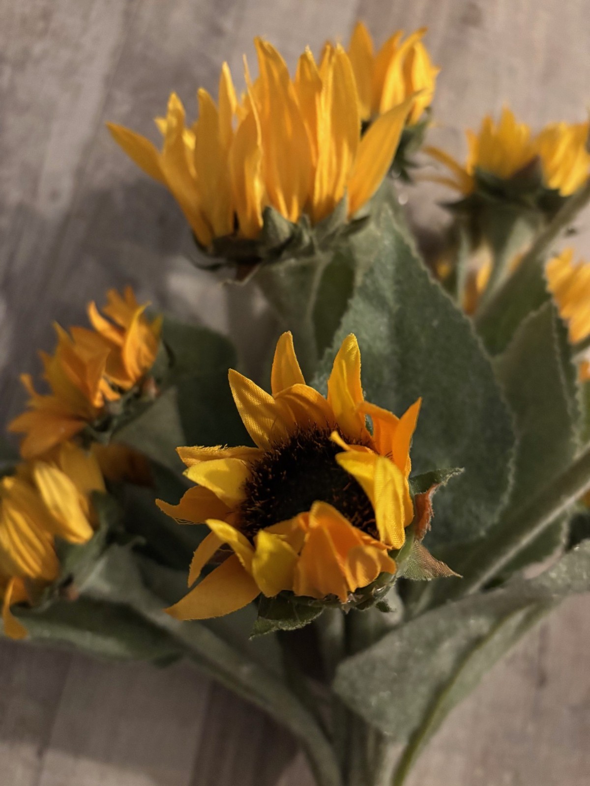 NEW Pottery Barn Faux Mini Sunflowers Bunch Bundle Stems Vase Decor NWT