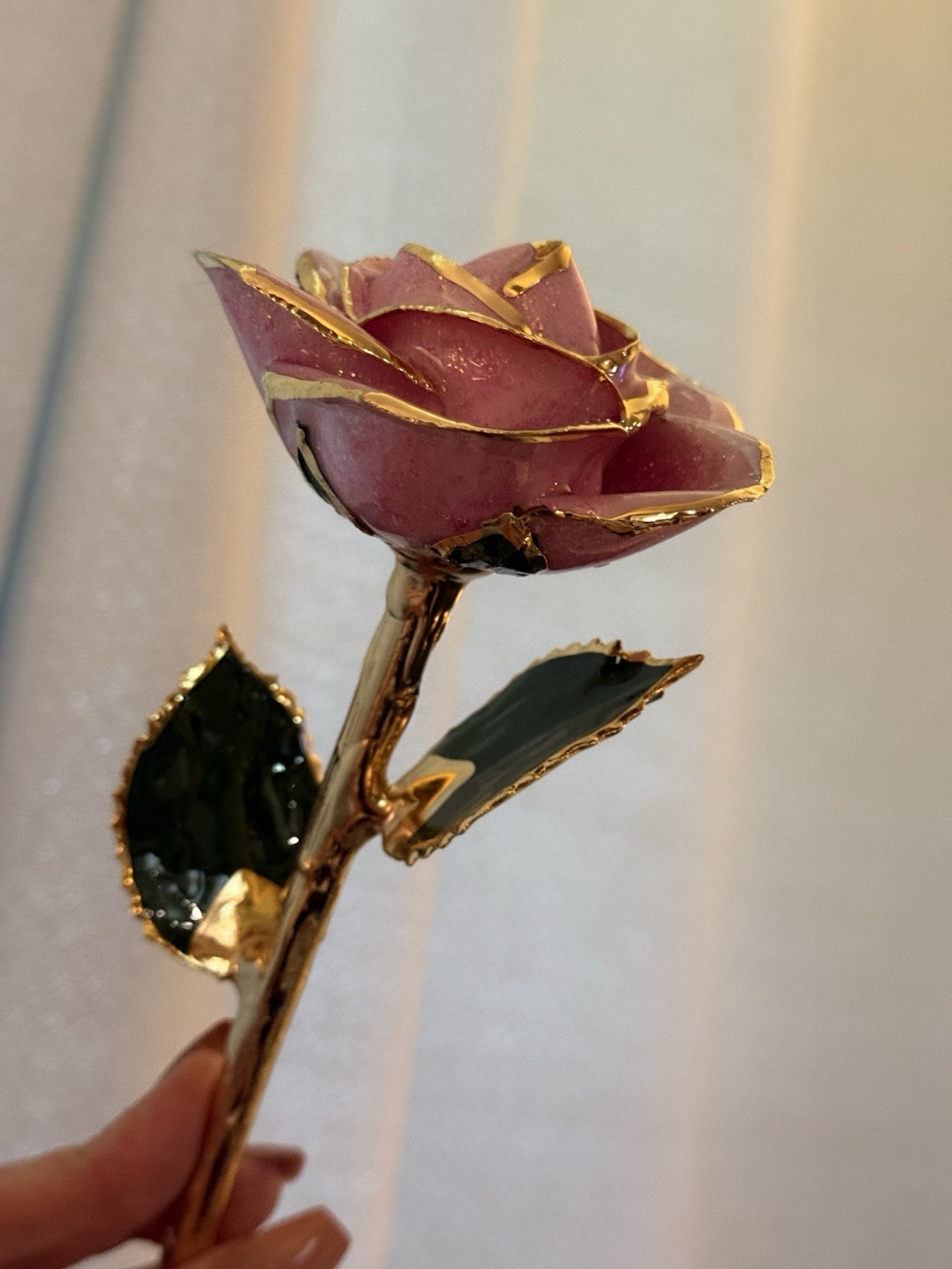 real rose dipped in 24k gold in Plum