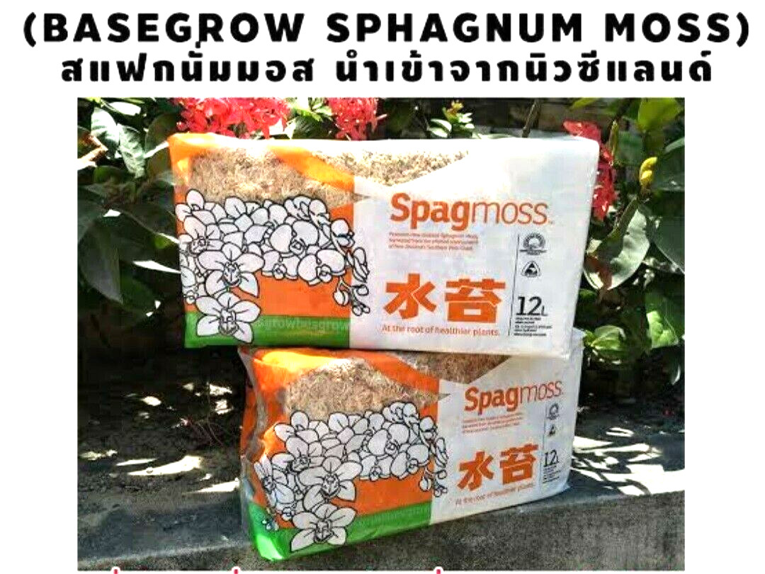 Sphagnum Moss Nursery Orchid Plant New Zealand Besegrow Long Fiber Decorationx 6