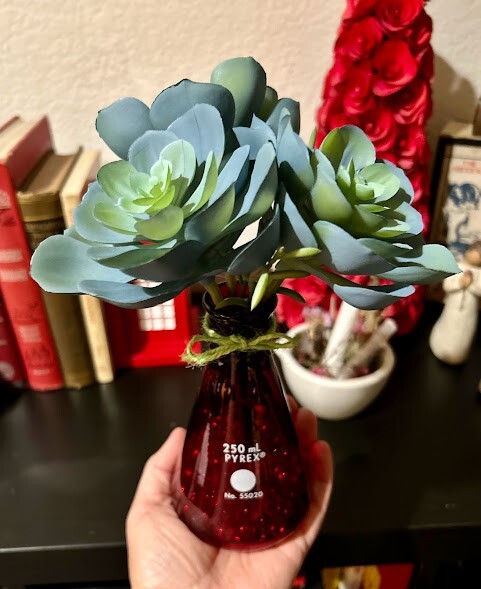 Artificial Potted Succulent Flower Fake Plant Aeonium Science Decoration Gift 