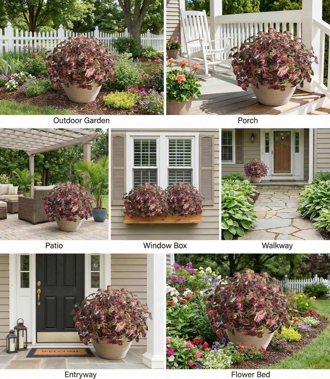 5 Pcs UV Resistant Faux Coleus Plants – Silk Greenery for Outdoor Garden Decor