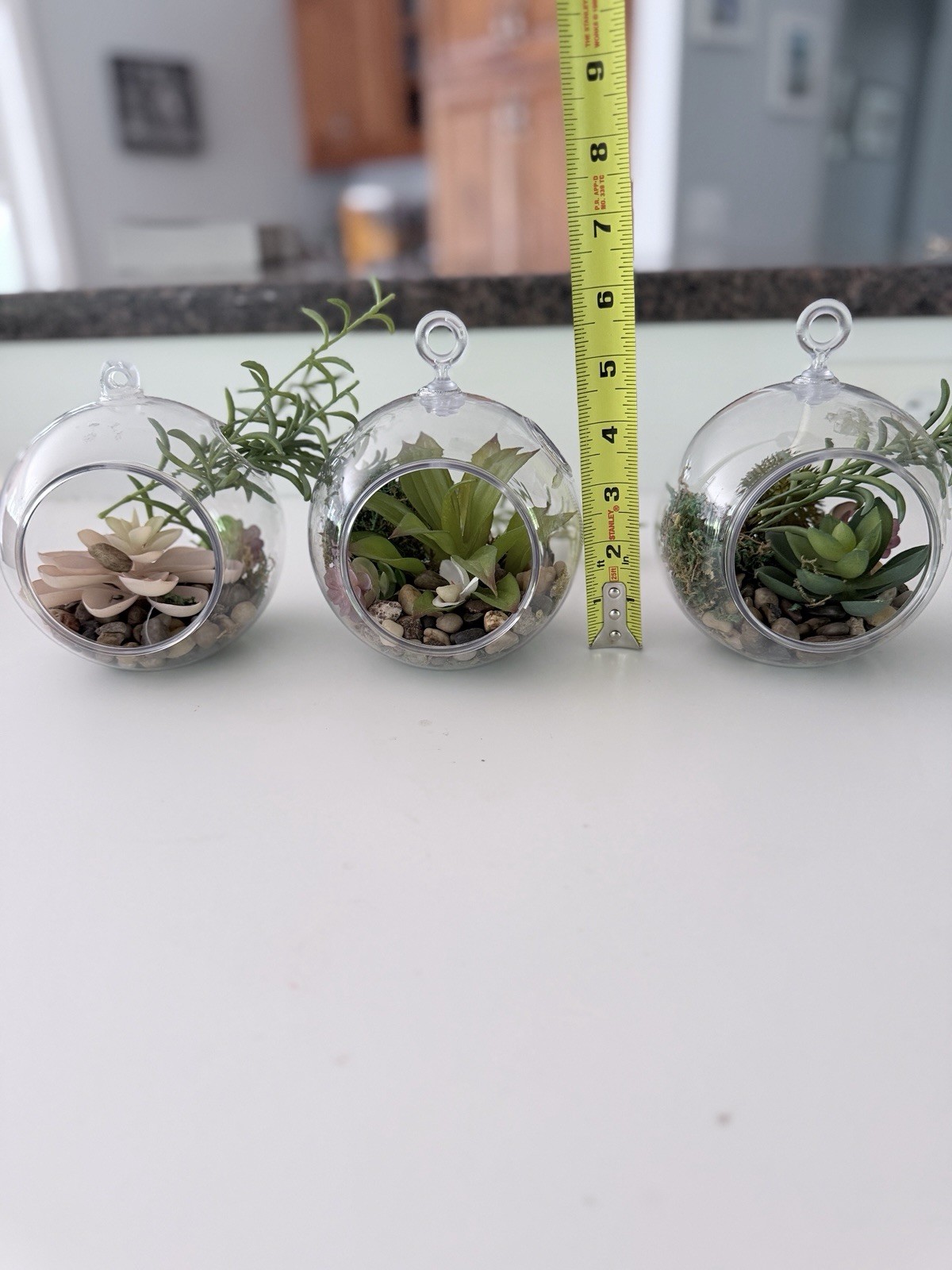 Clear Plastic Containers With Faux Plants With Rocks