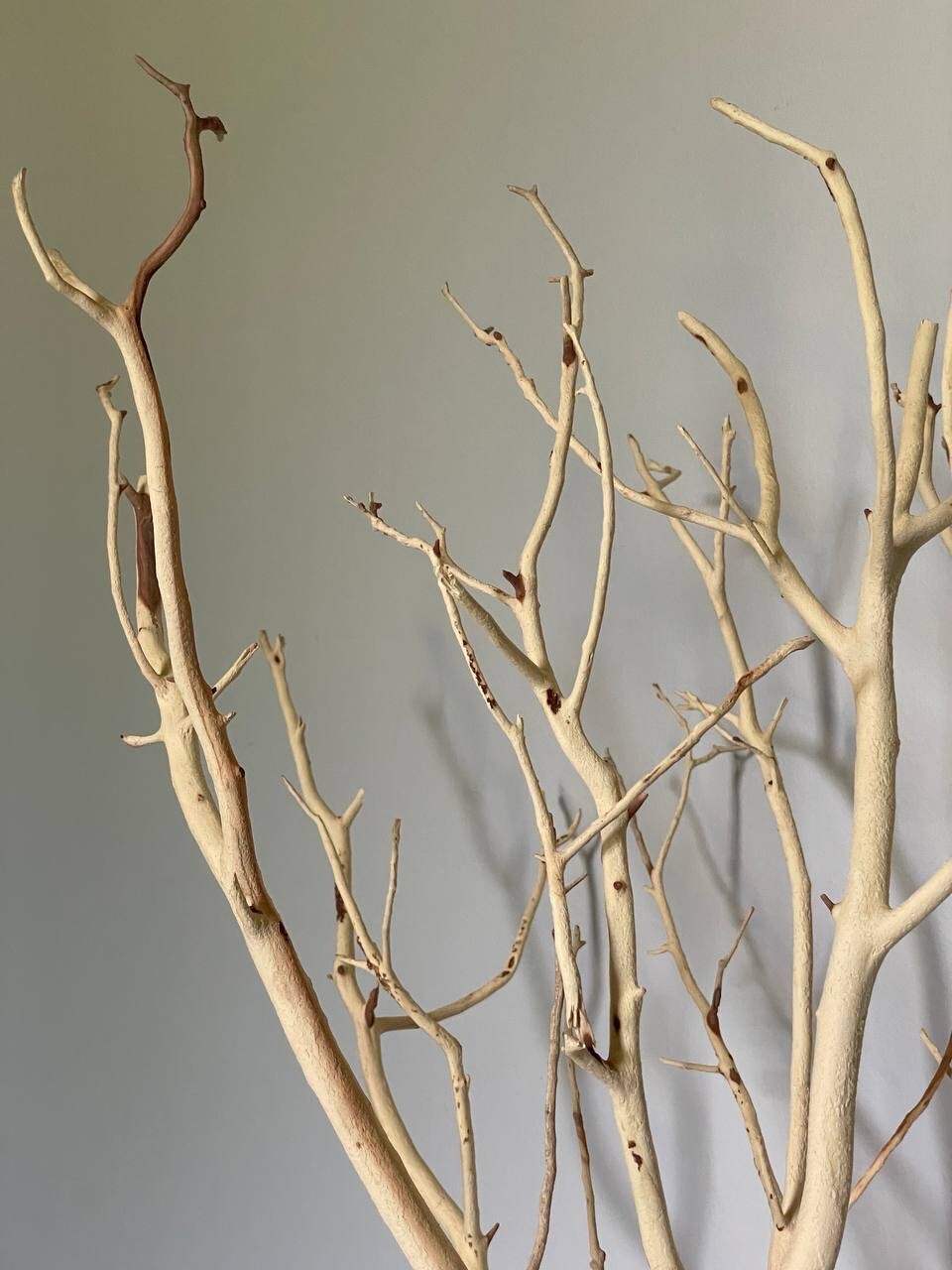 2 Manzanita Branches – Sandblasted 48″