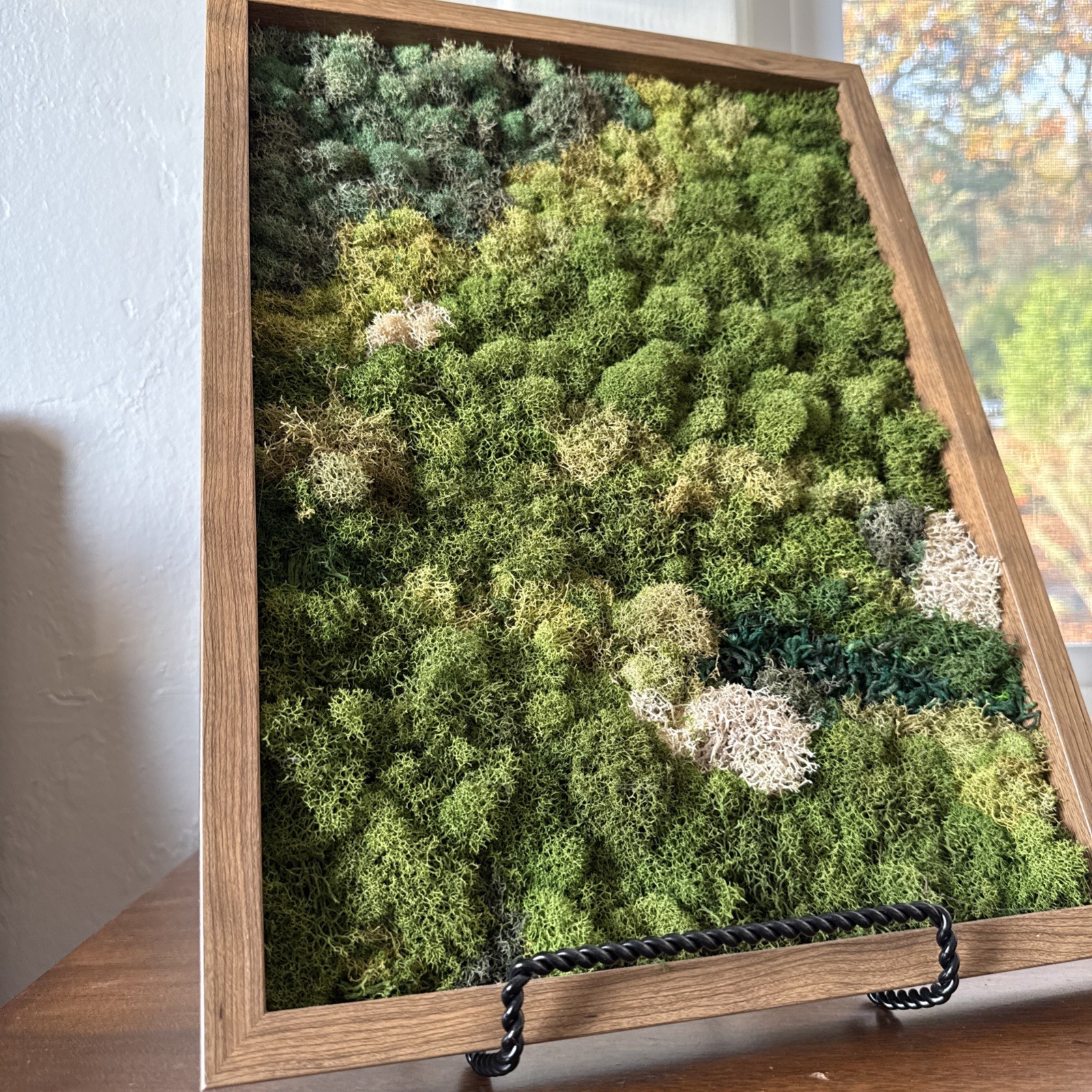 Preserved Moss Wall Art, Handmade, Wood Framed