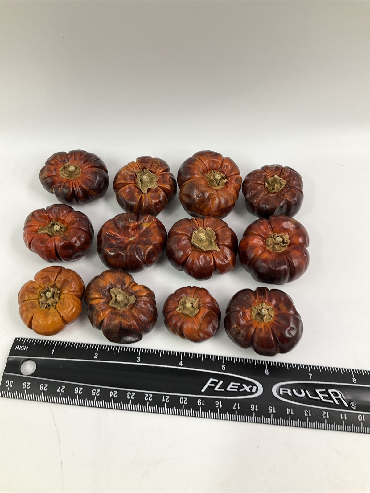 Fully Dried Mini Pumpinos Pumpkin Peppers Fall Orange Vase Filler Decor Craft