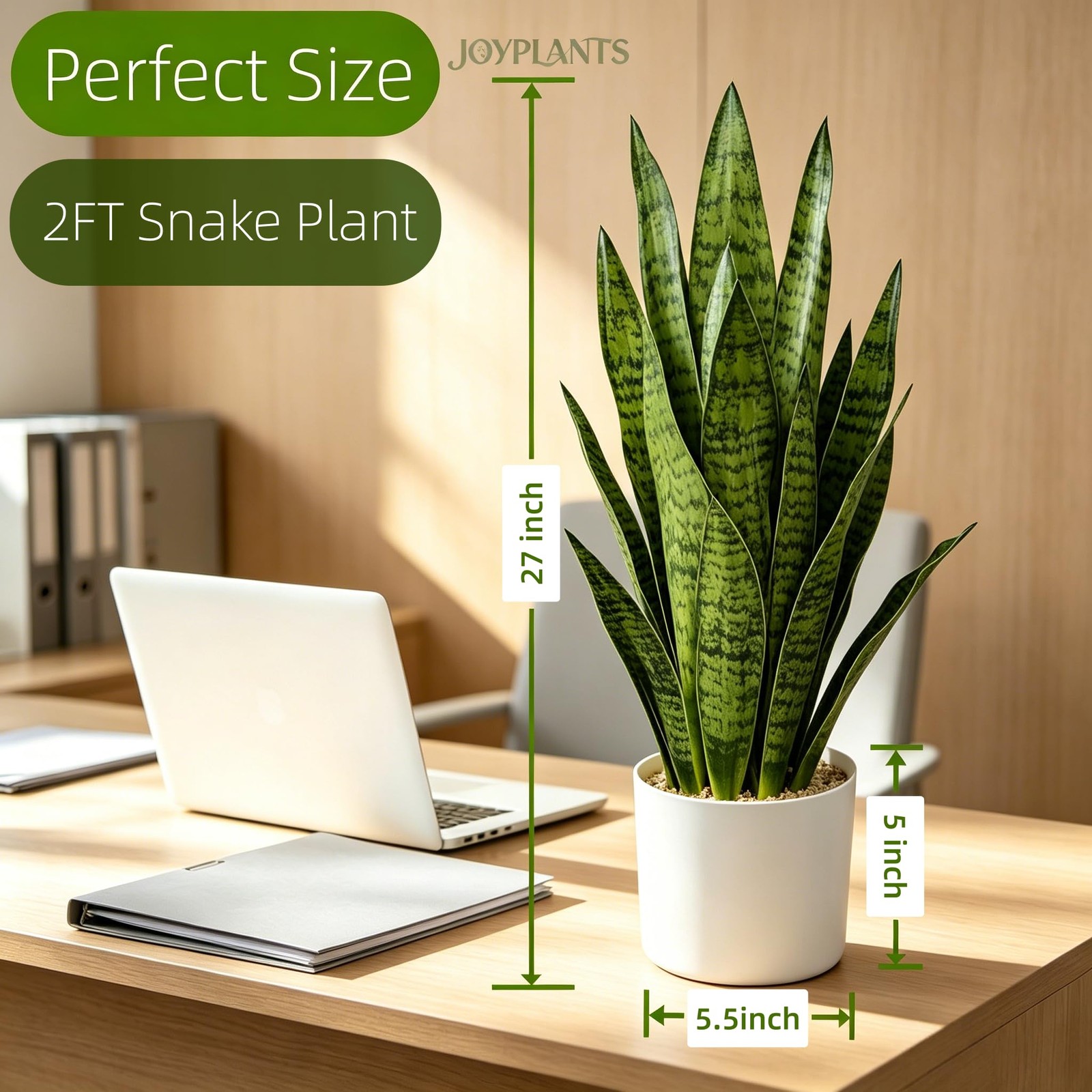 Fake Snake Plant, 27in Artificial Plant with White Pot Realistic Leaves, Low …