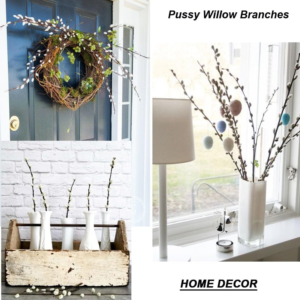 30 Branches Pussy Willow Branches for Vases 23 Inches Natural Dried Pussy Willow