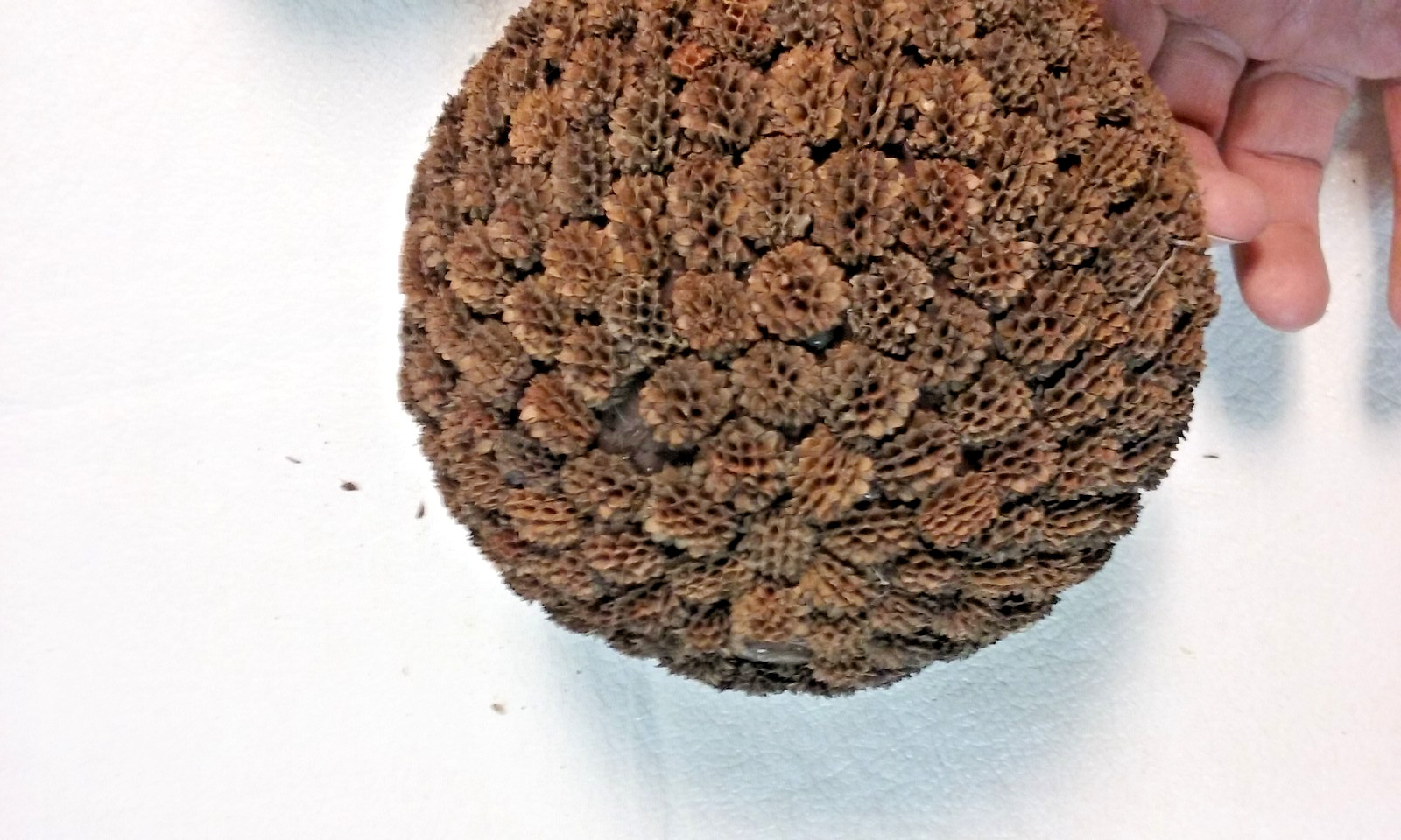 3 Brown Seed Pod Mosaic Decorative Ball Ornaments 5″ to 6″ & 4″ to 5″ wide