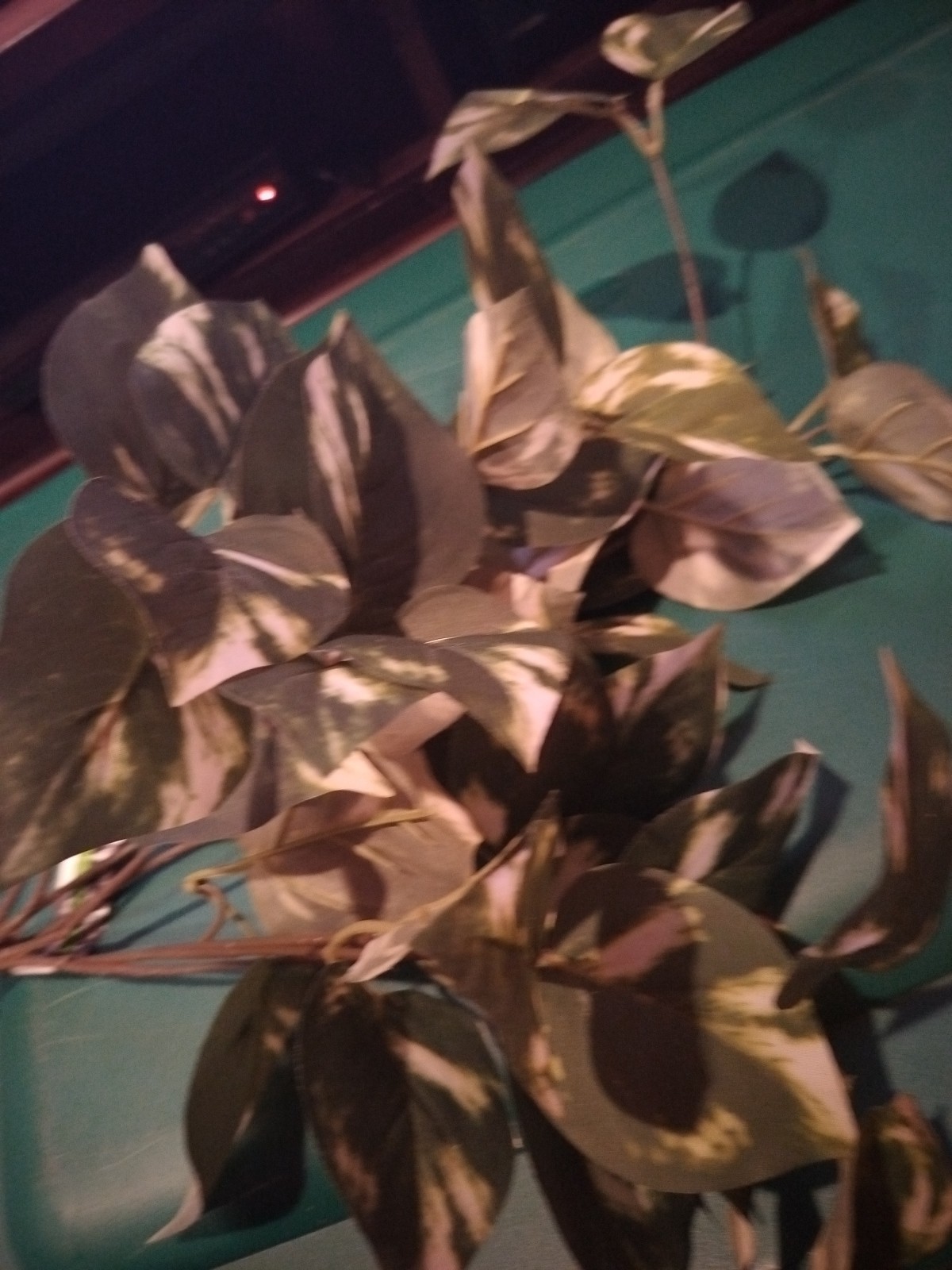 Ashland Artificial Golden Pothos plant green/white marbled leaves hanging stems
