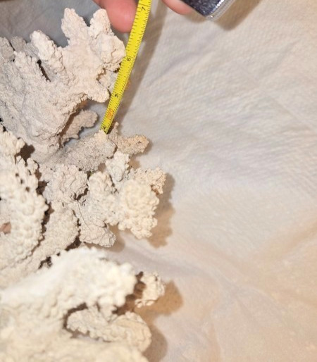 Large Faux Coral Decor Centerpiece – Heavy 4lb Cast Stone – Coastal Home Decor