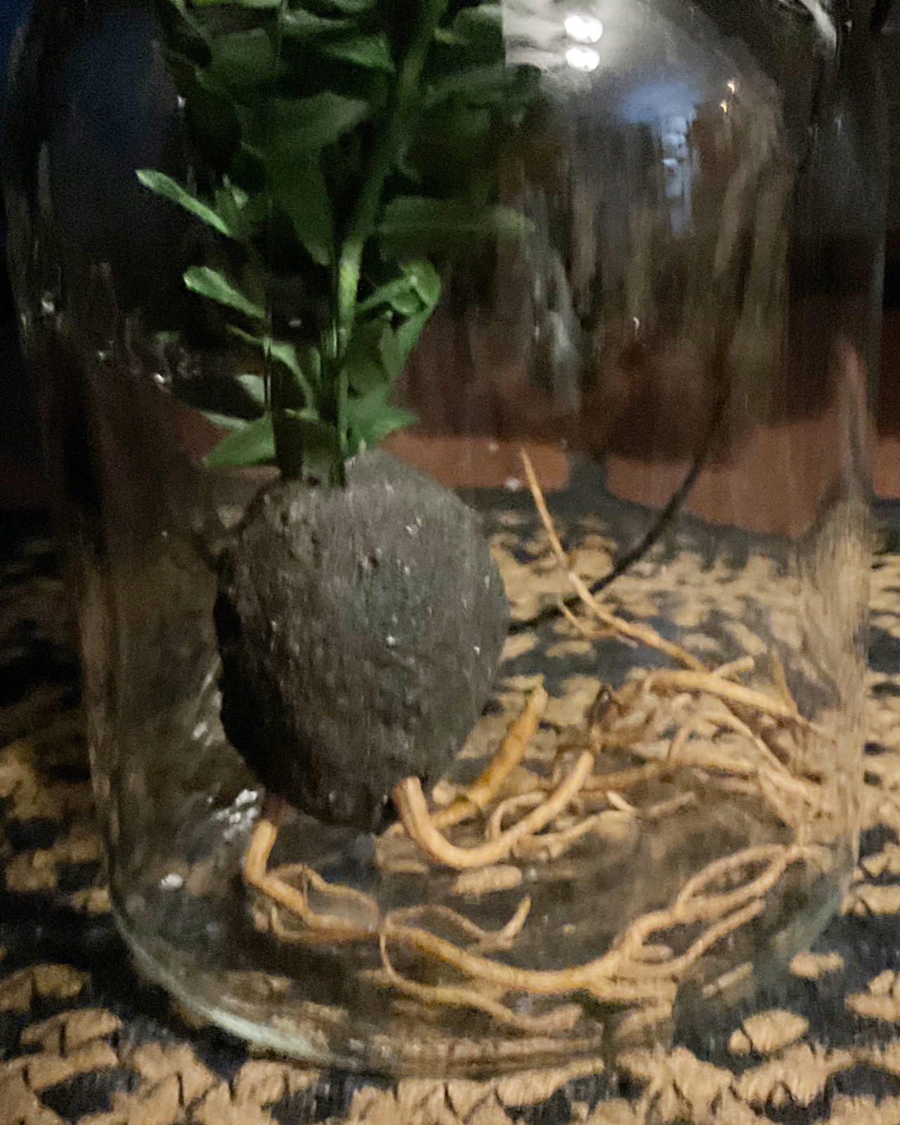 Faux Fern Root Ball Bulb Botanical Farmhouse Rustic Decor