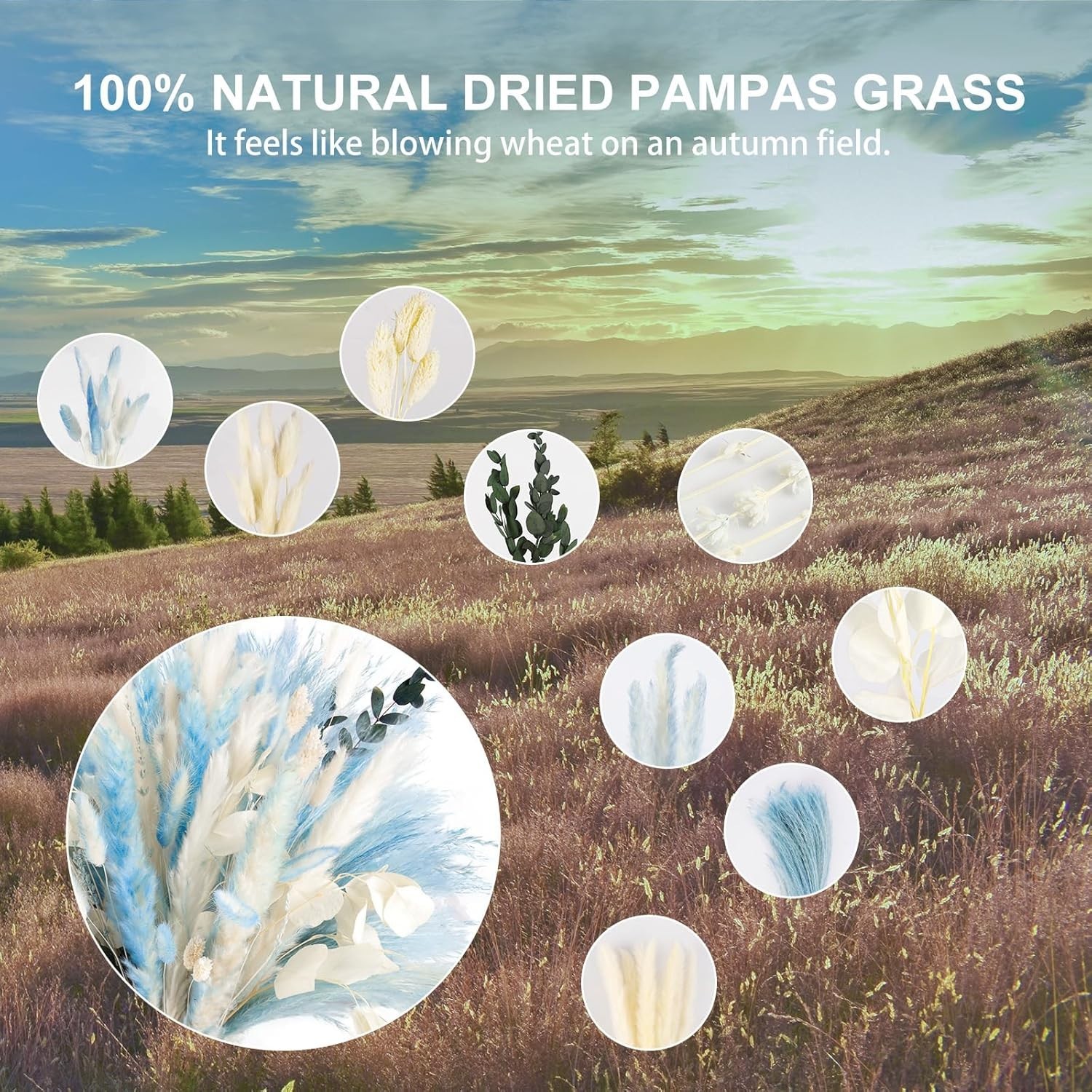 Pampas Grass Decor 101pcs Blue Dried Flowers Boho Indoor Wedding Beach Theme DIY