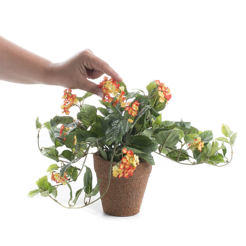Set of 2 Yellow and Orange Artificial Sweet Allison in 13″ Planters