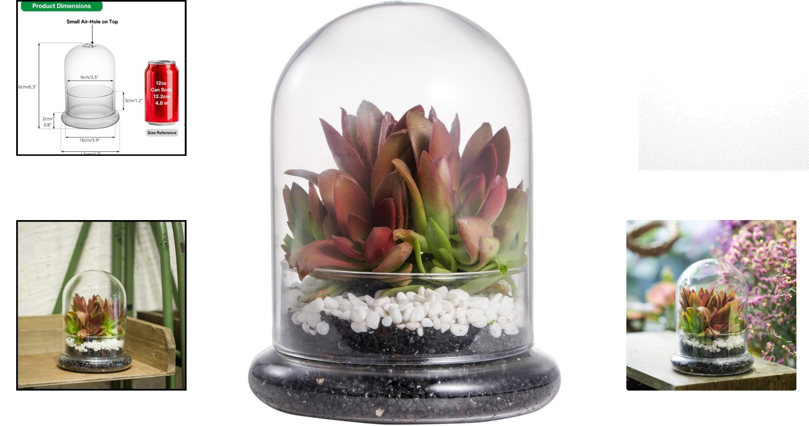 Chic Clear Glass Terrarium Cloche with Base – Ideal for Succulents or Displays