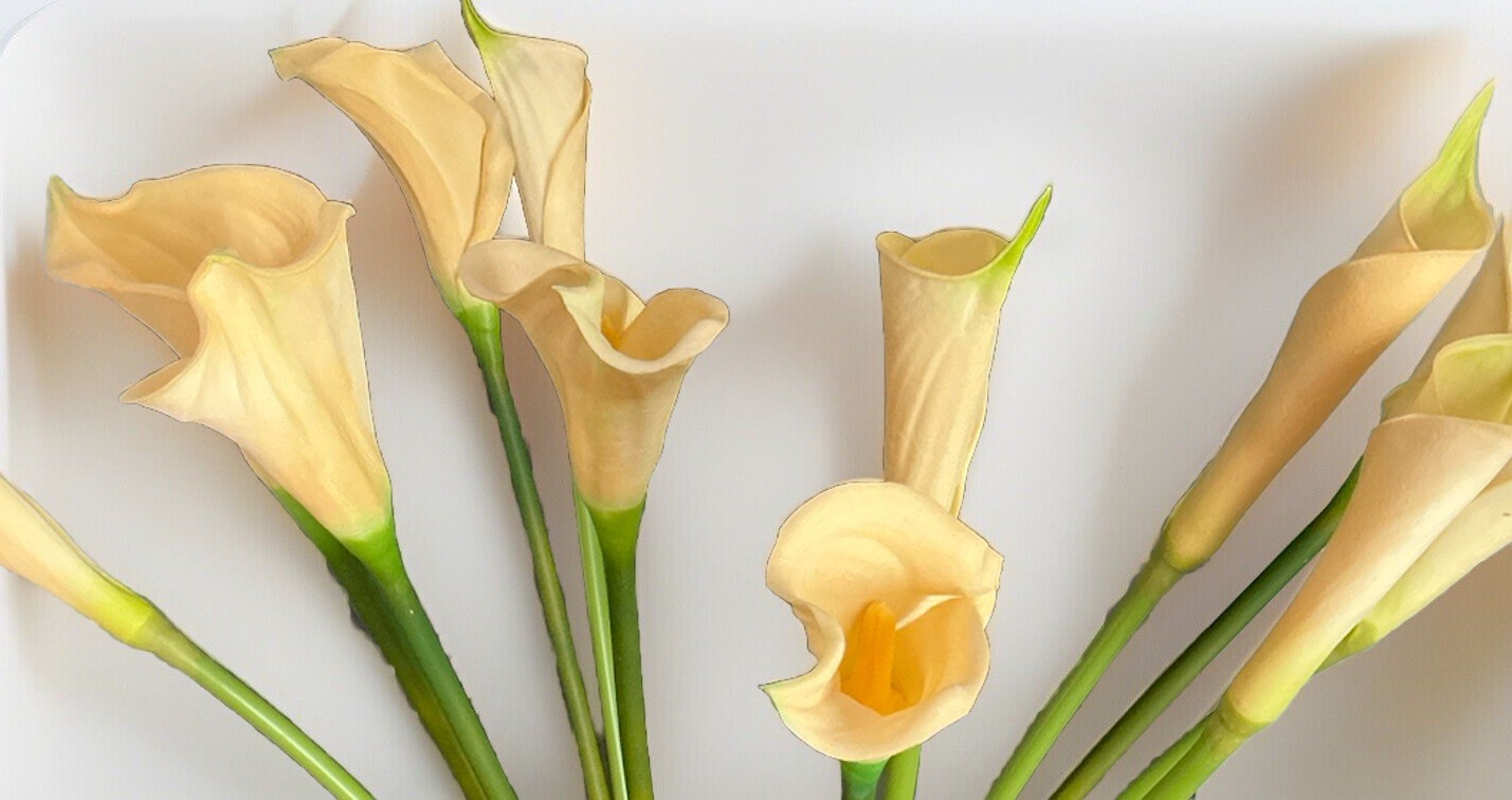 12 PCS Artificial Real Touch Faux Calla Lily Ivory Flowers 25’’