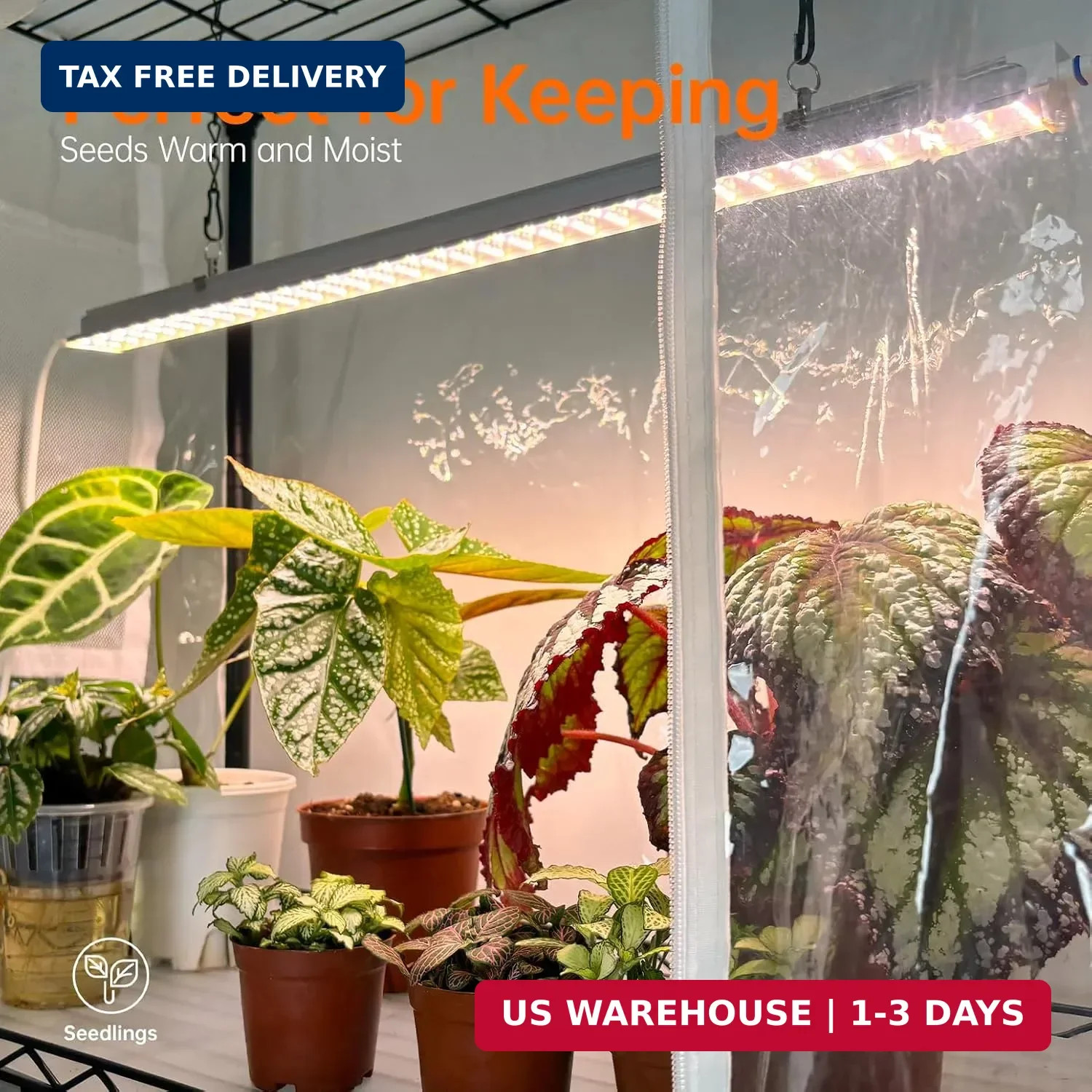 Bstrip Indoor Greenhouse with Grow Light, DIY Plant Shelf with Cover, 6 Tier Pla