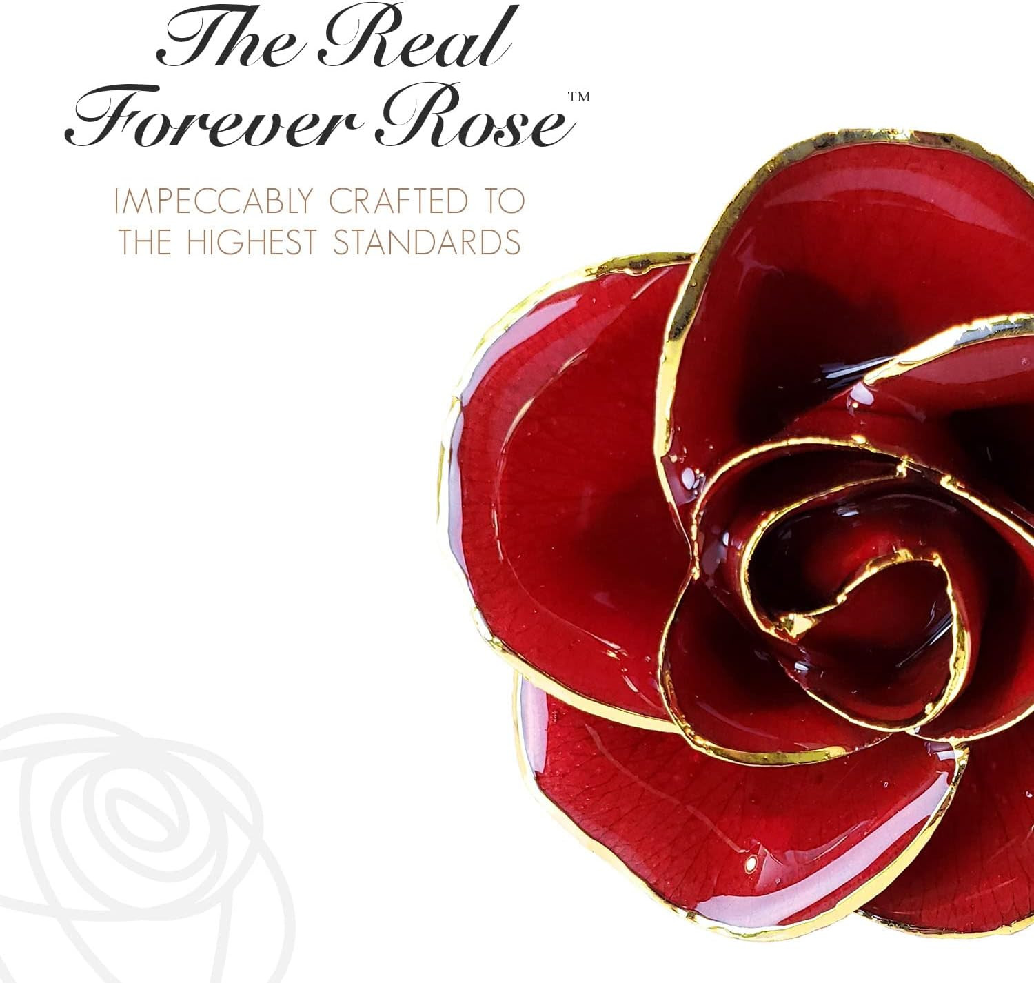 Bloomed, Beautiful 24K Gold Dipped Red Rose That Lasts Forever, 24K Gold Dipped