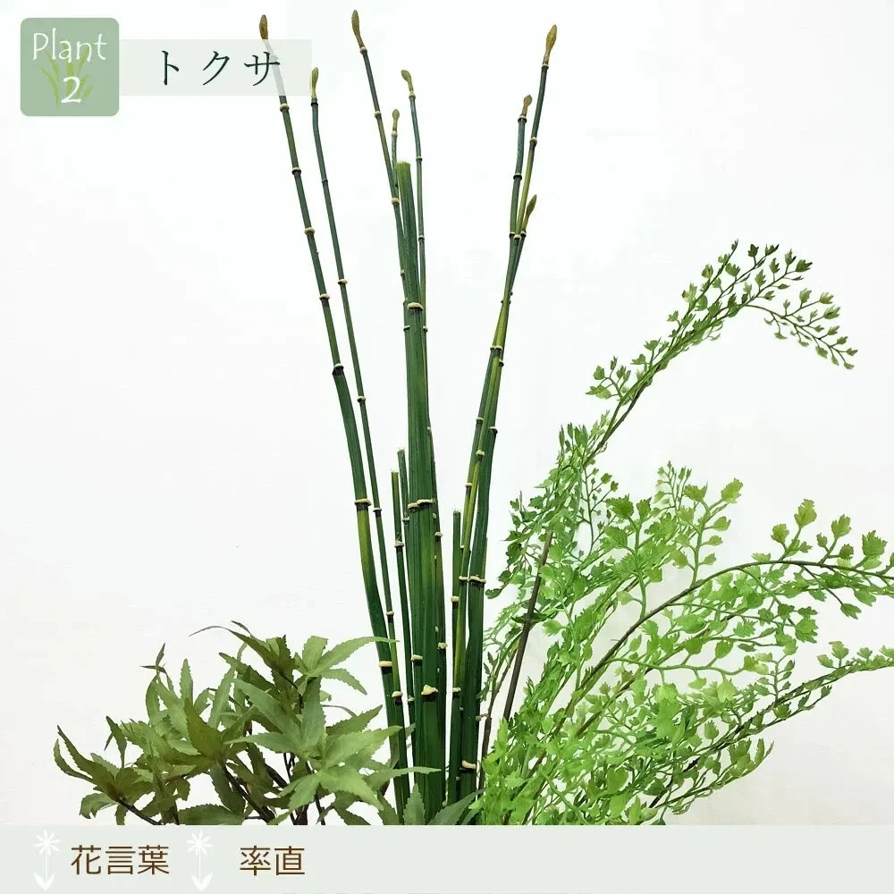 Artificial Japanese Bonsai Maple Adiantum Horsetail Plant CUPBON Made in Japan