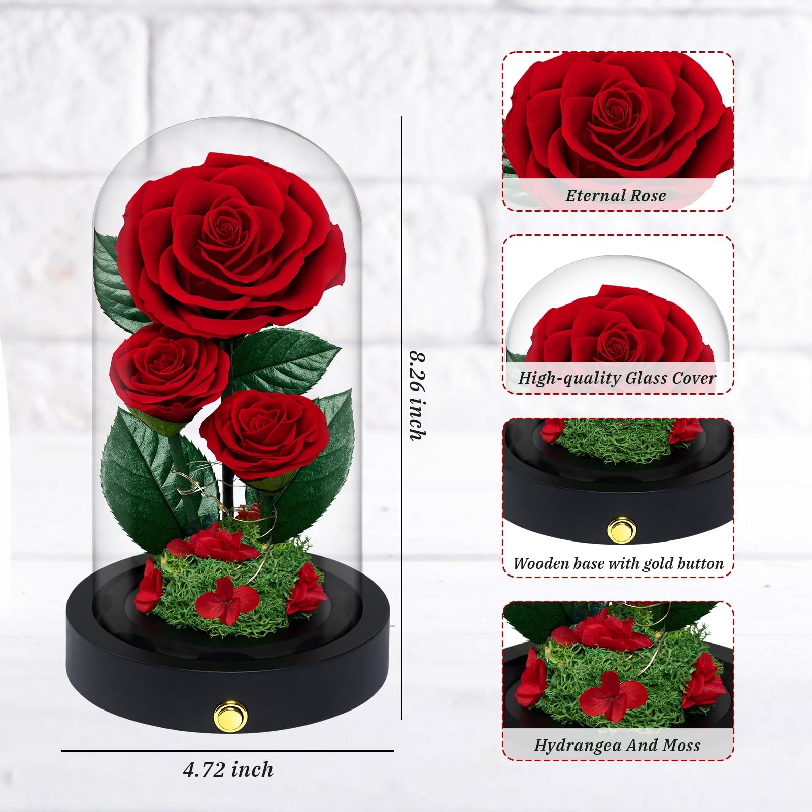 3 Preserved Flowers Roses in Glass Dome for Beauty and The Beast Decor Real R…