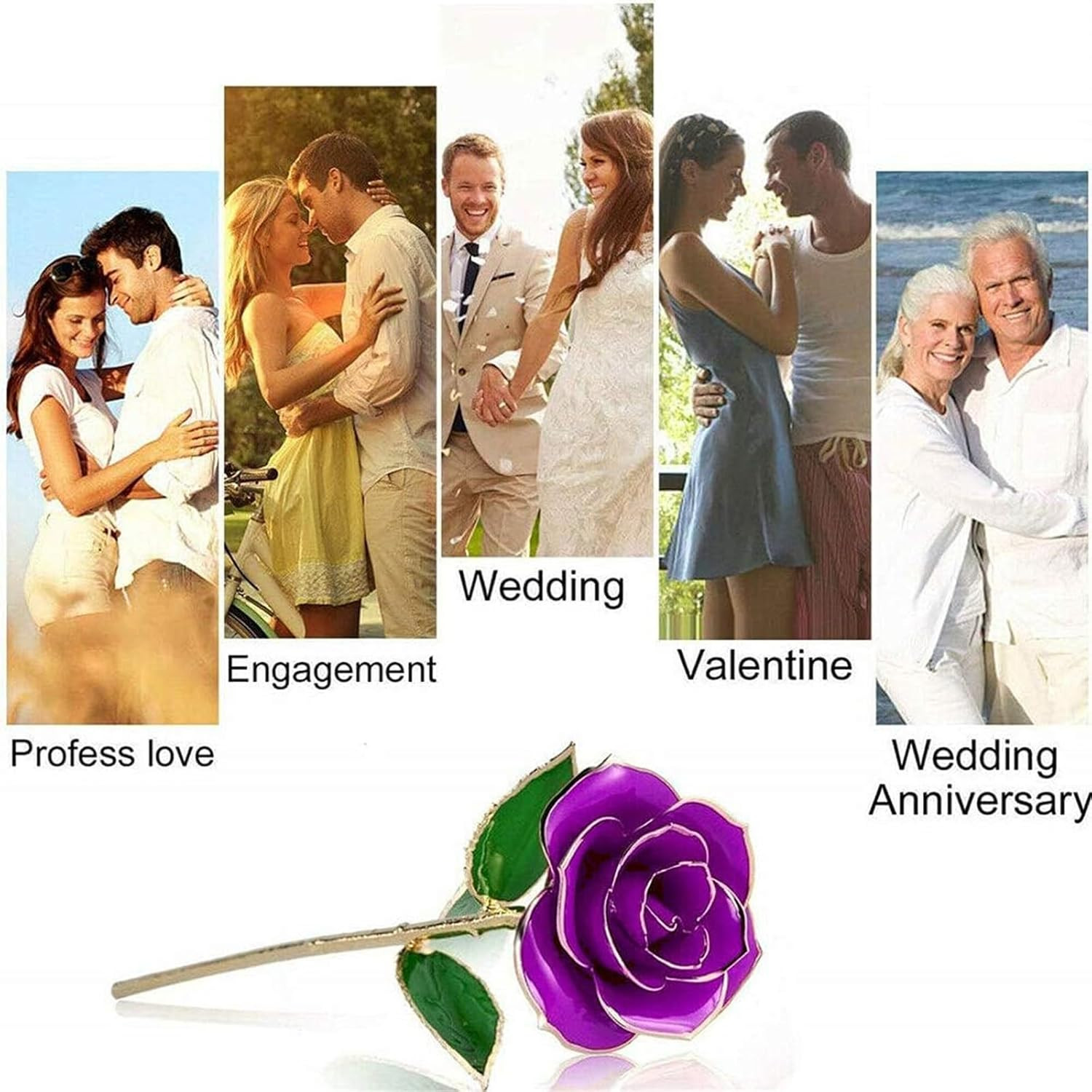 ENJOYPRO Valentines Day Gifts for Her, Real Rose Dipped in 24K Gold, Preserved