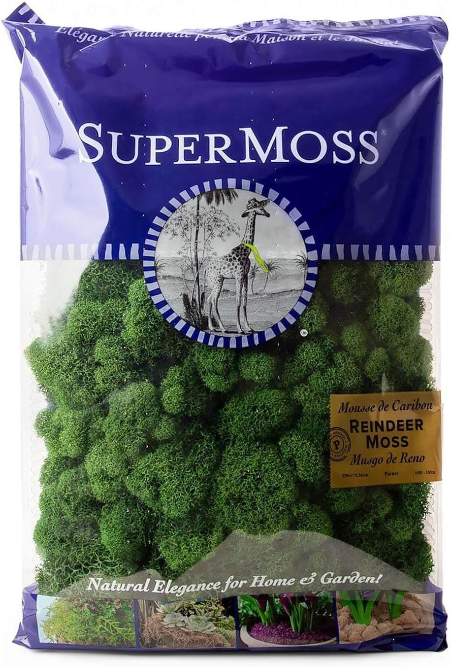 Long-Lasting 8oz Preserved Reindeer Moss for Elegant Flower Arrangement Accents
