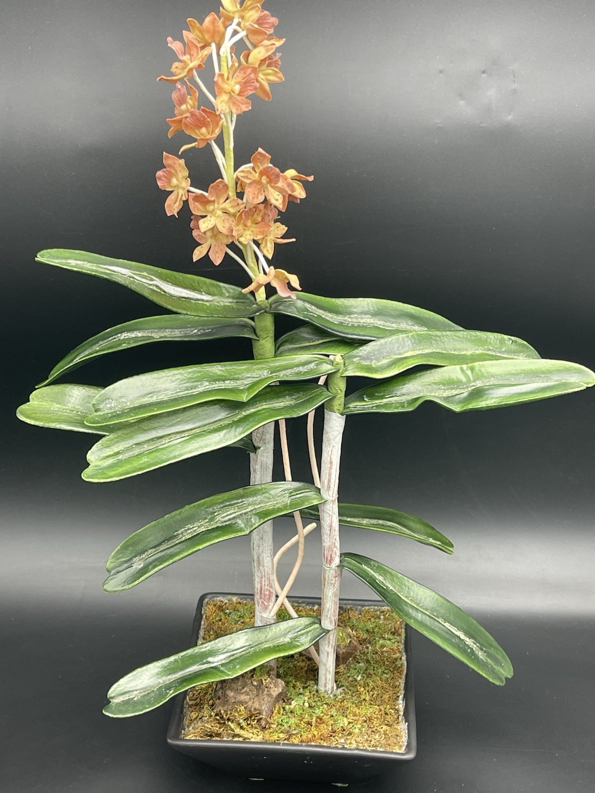 19″ Faux Orange Orchid Green Leaves Roots in Black Ceramic Pot