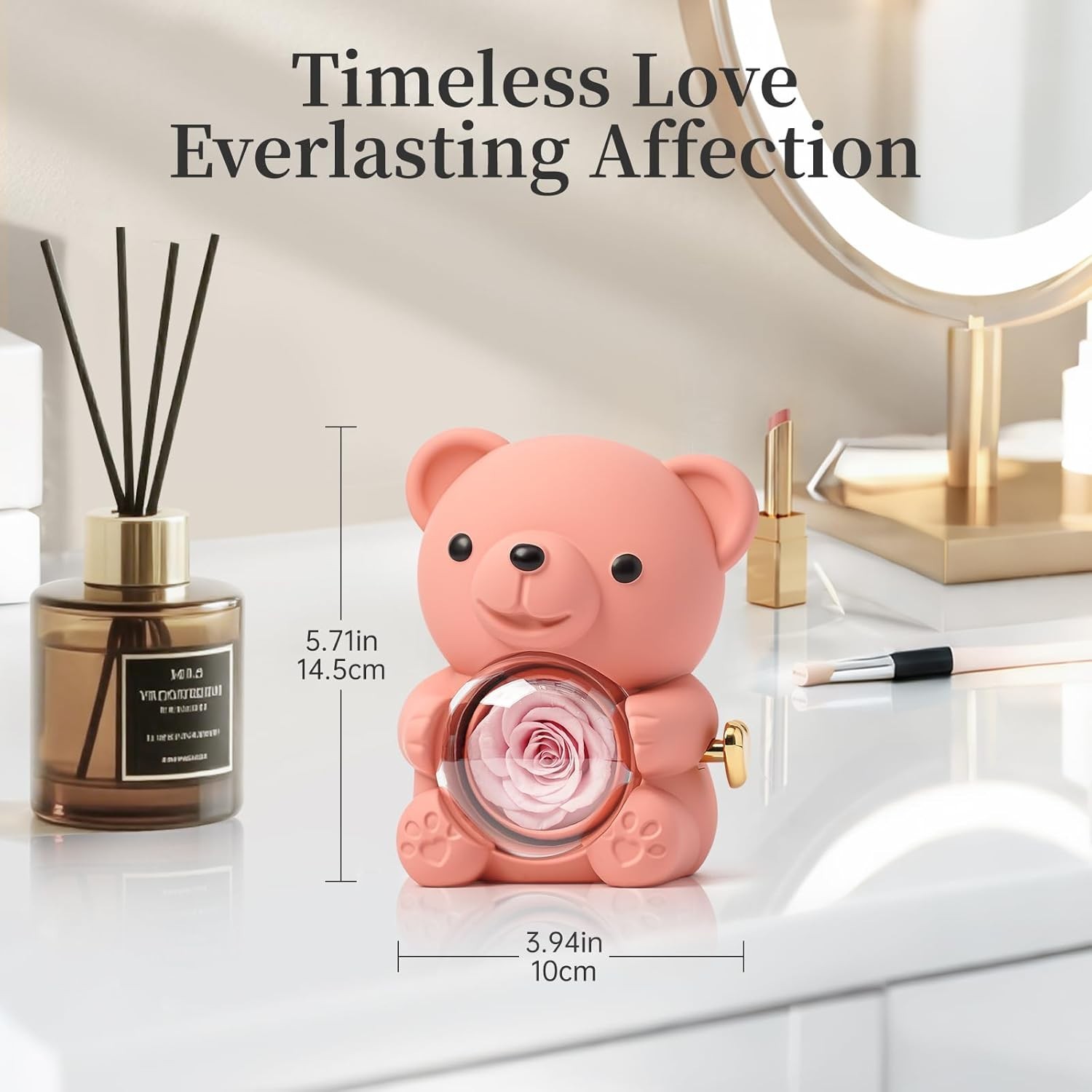 Real Preserved Rose Teddy Bear with Jewelry Compartment