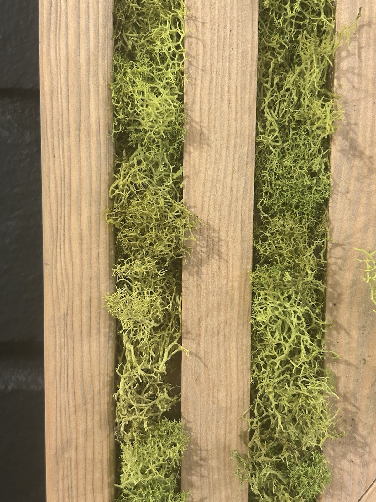 Handmade Preserved Moss Geometric Wall Art – For Your Living Space 24″x24″