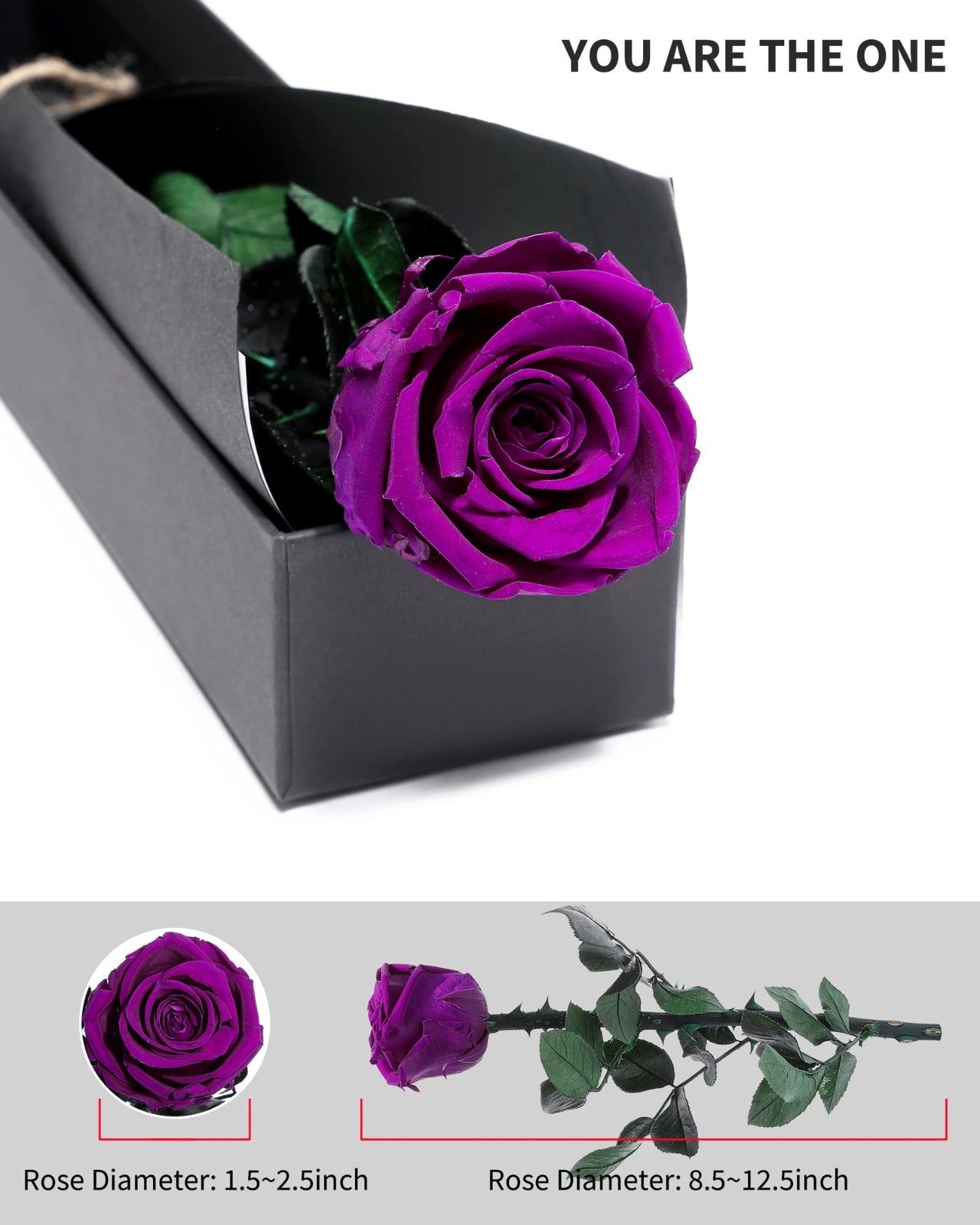 Preserved Real Rose Gift for Women, Mom Birthday Valentines Flowers