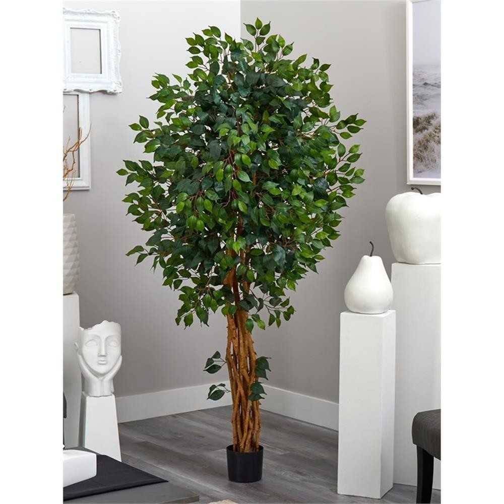 Pemberly Row 72″ Palace Style Ficus Silk Tree with 1596 Leaves in Green/Black