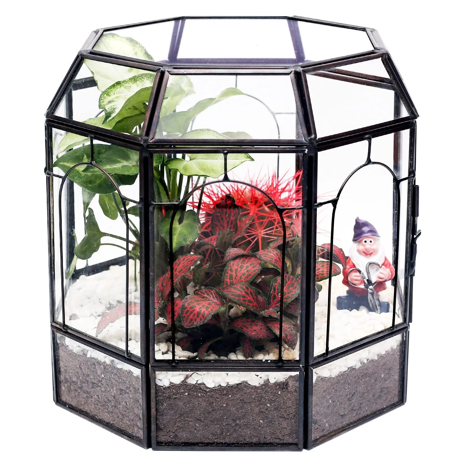 Large Glass Terrarium Centerpiece for Succulents, Cacti, Air Plants, Mini