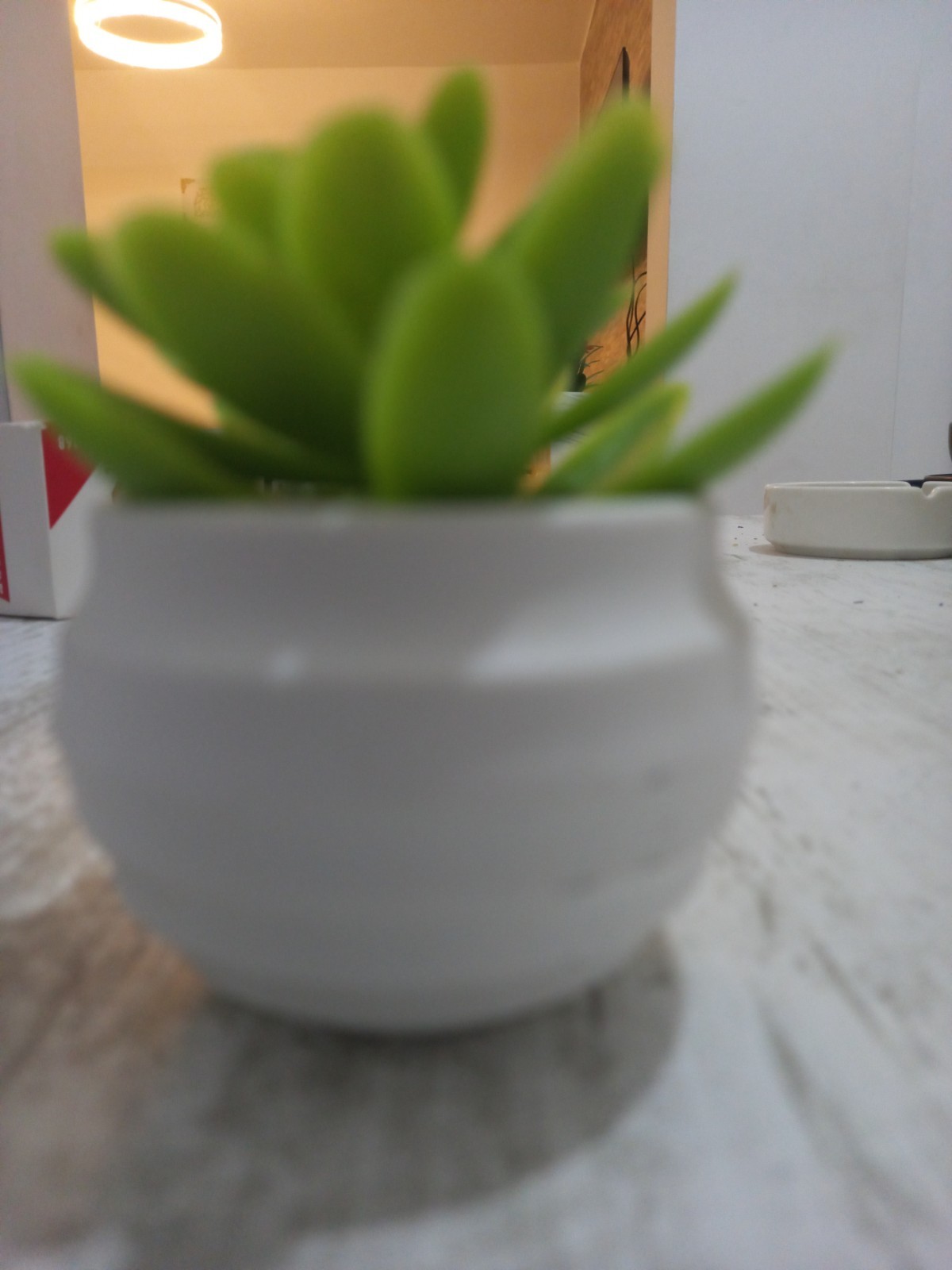 Artificial succulent plant for decoration