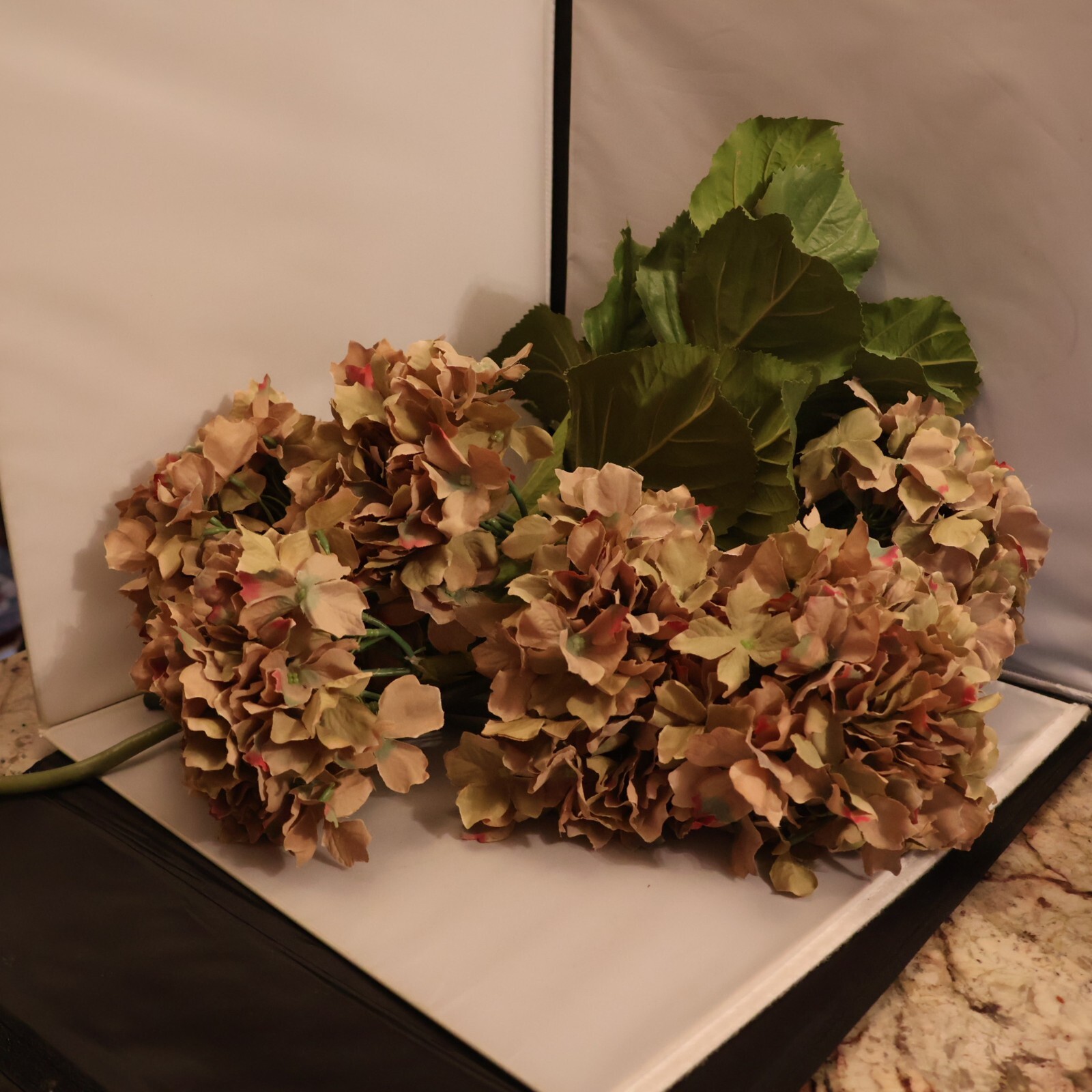 Six Lovely Pink/Blue/Purple Hydrangea Stems – Large Blossoms Plus Stem of Leaves