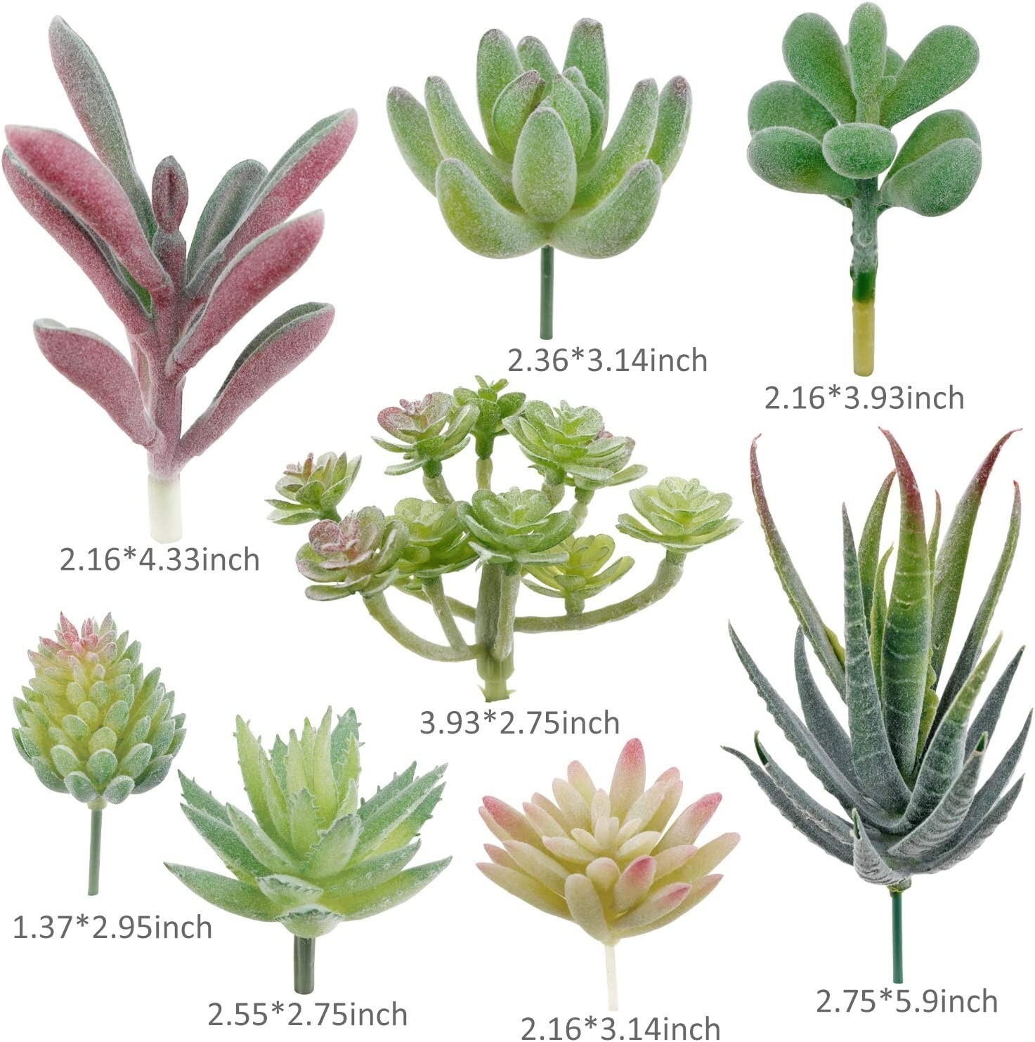 16 Pack Hassle-Free Flocked Succulent Plants – Fresh, No Maintenance Decoration