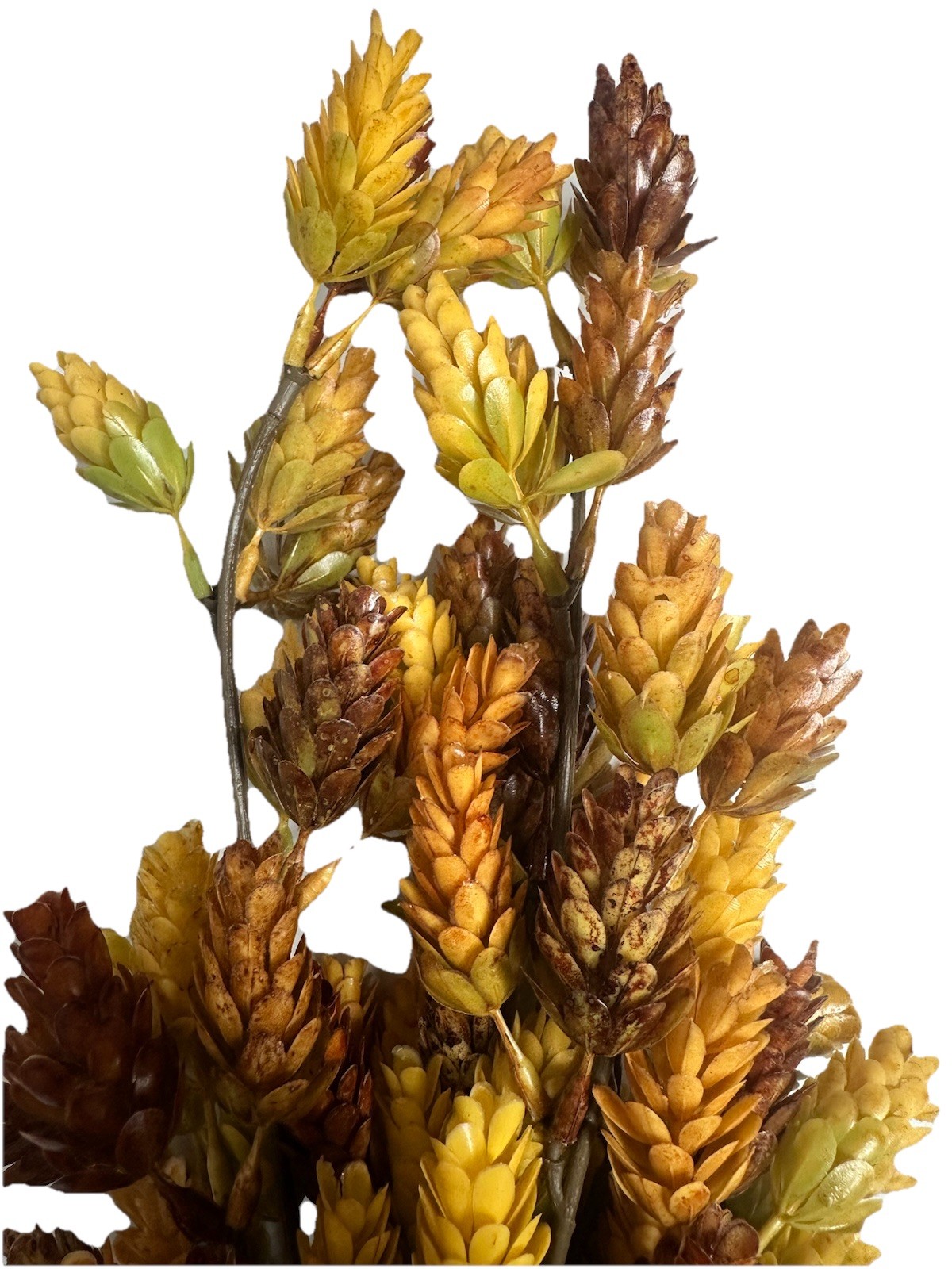 Faux Stem Hops Thistle 2pc Set Indoor Decorative Home Threshold With Magnolia
